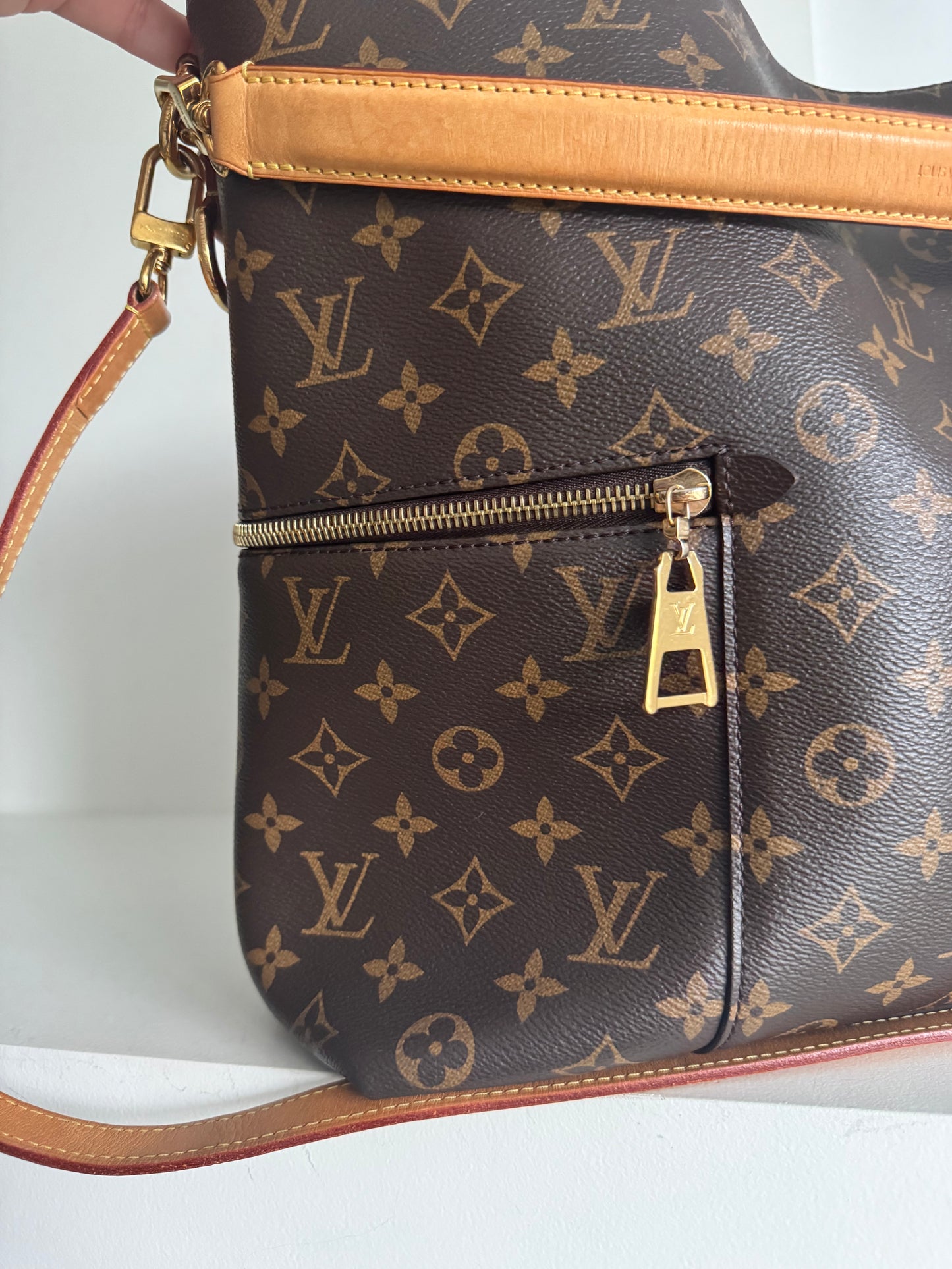 Louis Vuitton Melie Monogram Bag