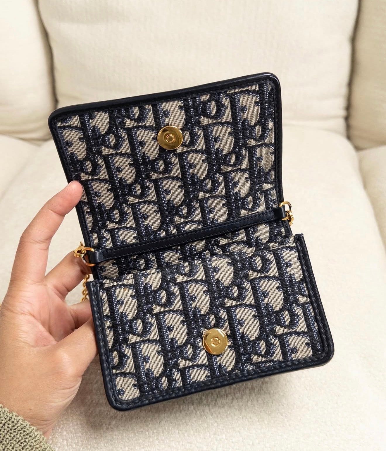 Christian Dior Montaigne Nano Pouch