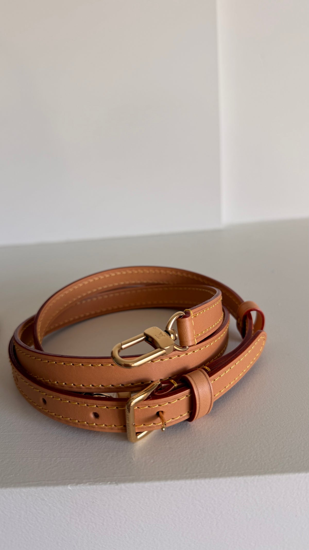 Louis Vuitton Cannes Mini