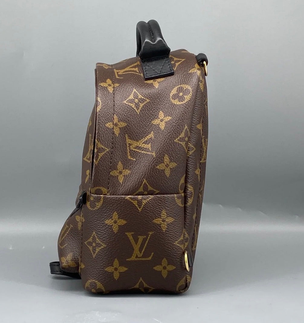 Louis Vuitton Palm Springs Backpack