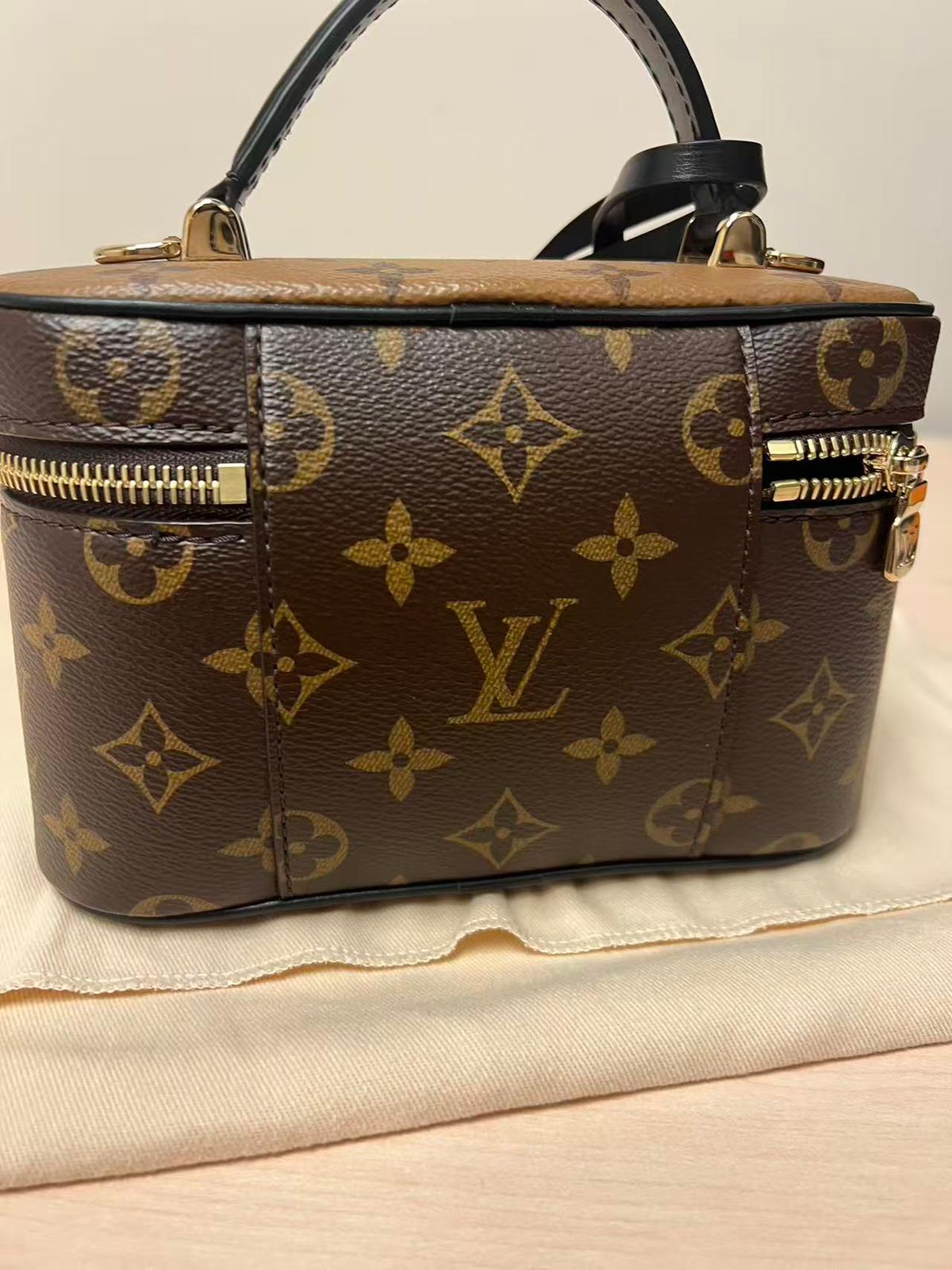 Louis Vuitton Vanity Chain Pouch Bag