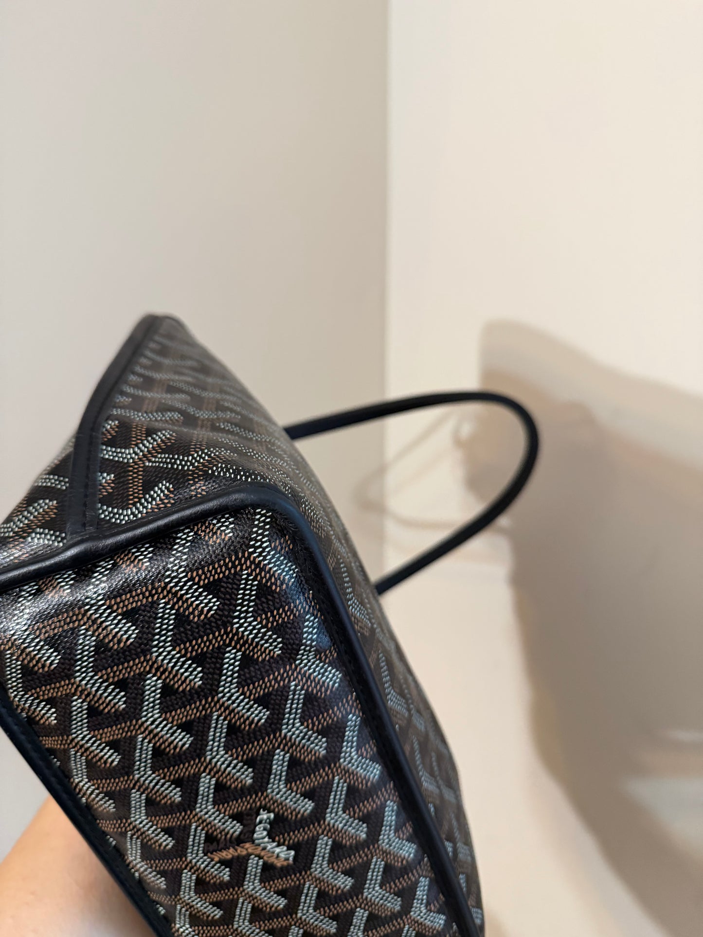 Goyard Mini Anjou Black