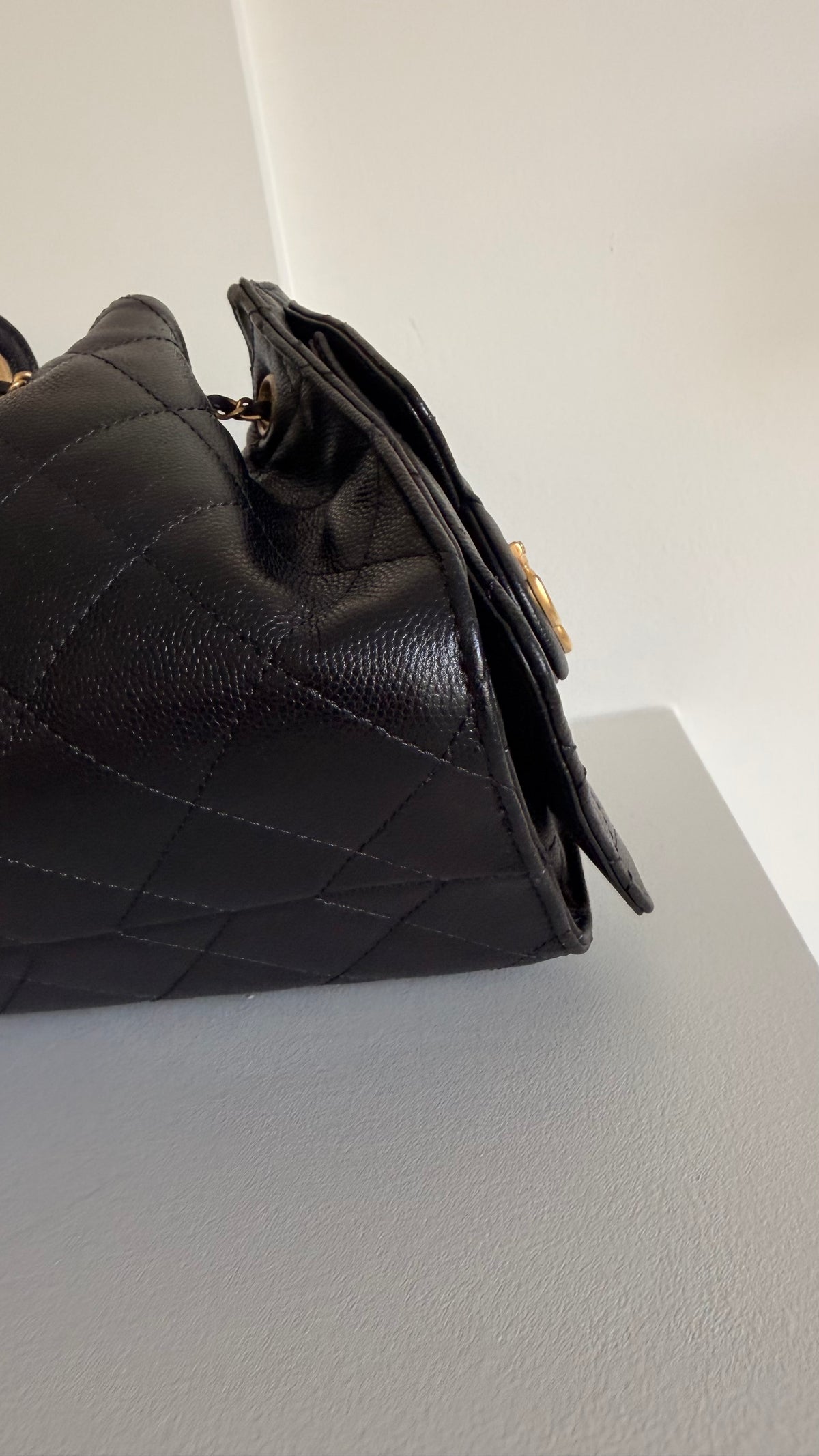Chanel 25 Mini Hobo Bag