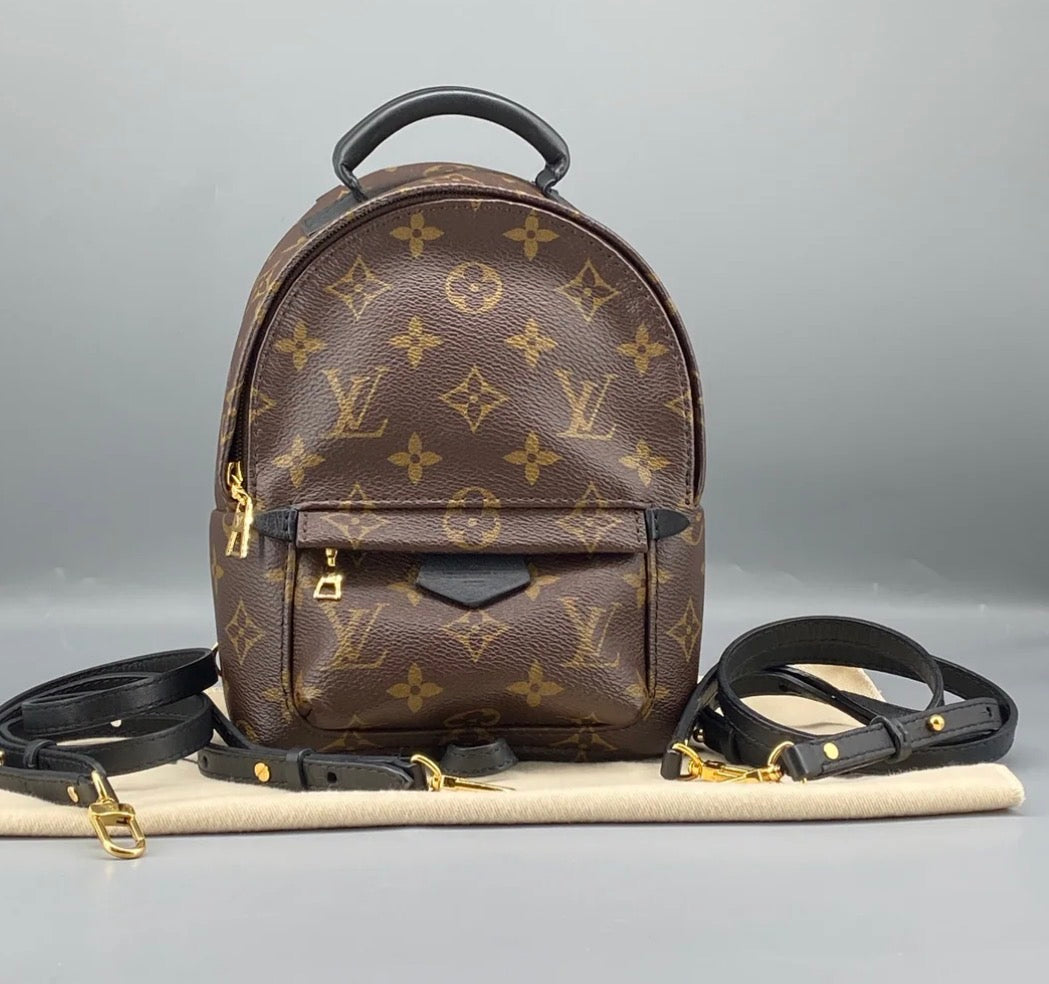 Louis Vuitton Palm Springs Backpack