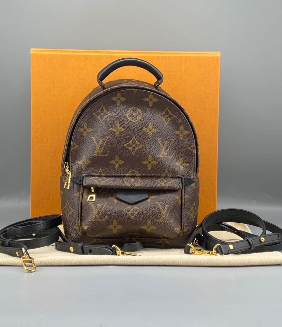 Louis Vuitton Palm Springs Backpack