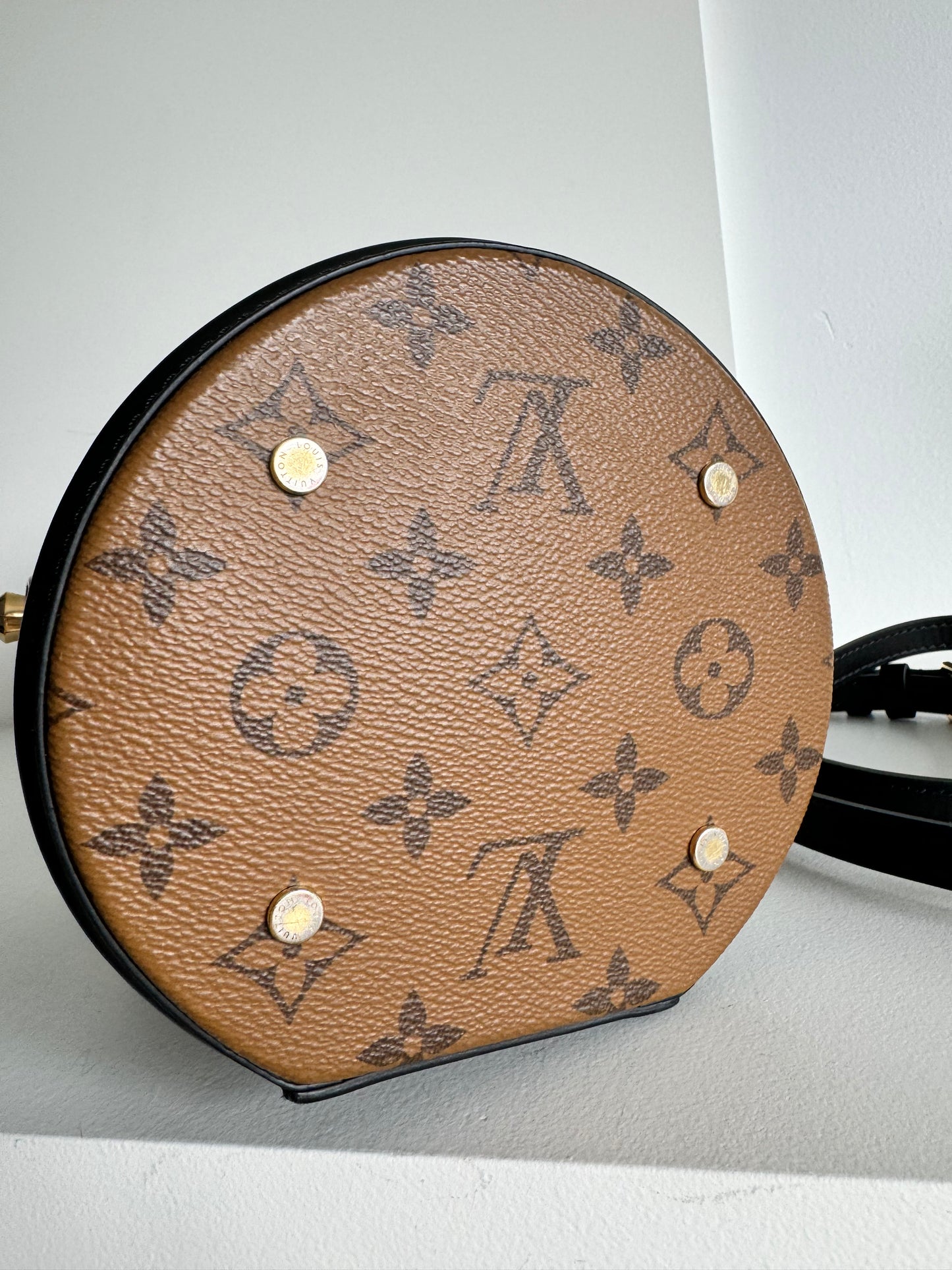 Louis Vuitton Cannes Monogram Reverse Vanity Bag