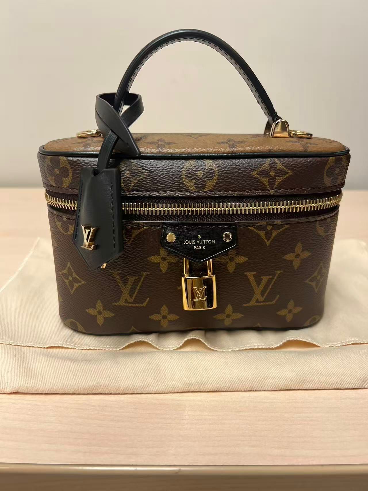 Louis Vuitton Vanity Chain Pouch Bag