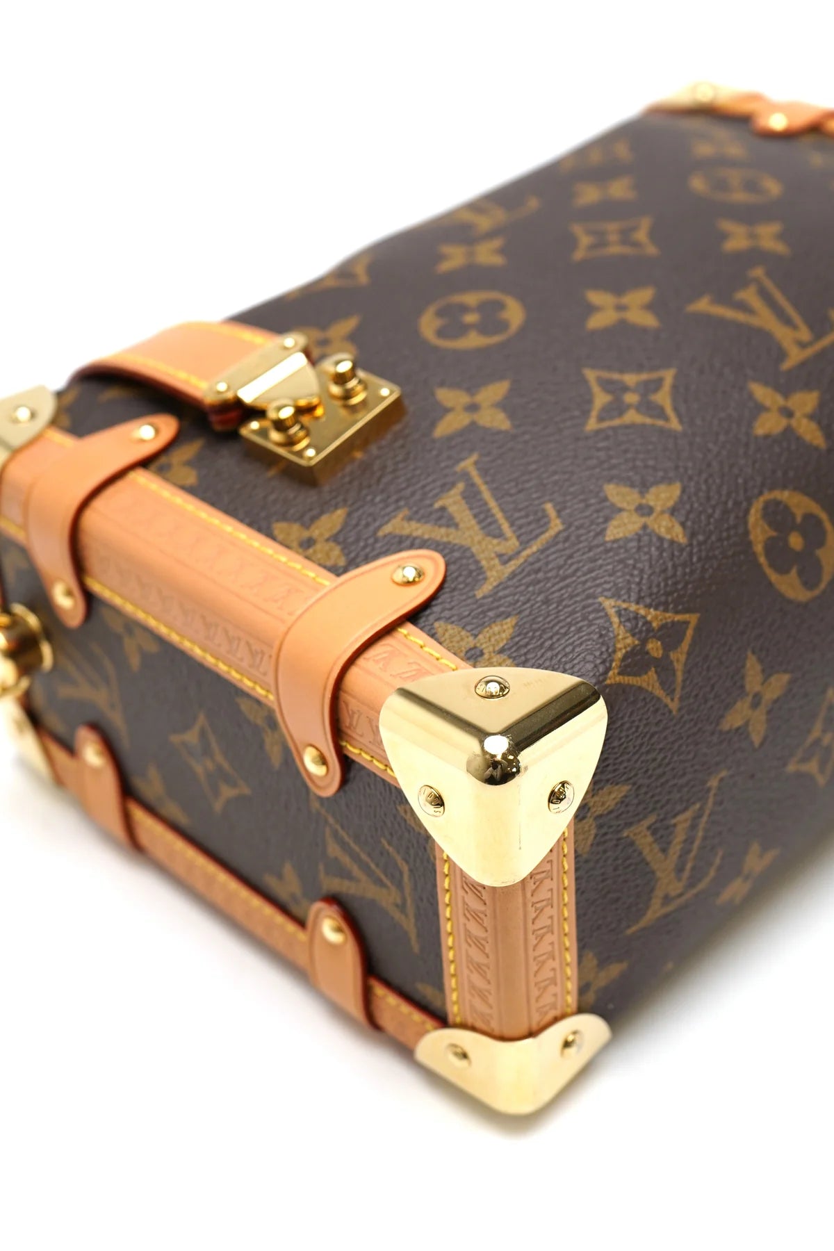 Louis Vuitton Monogram Side Trunk