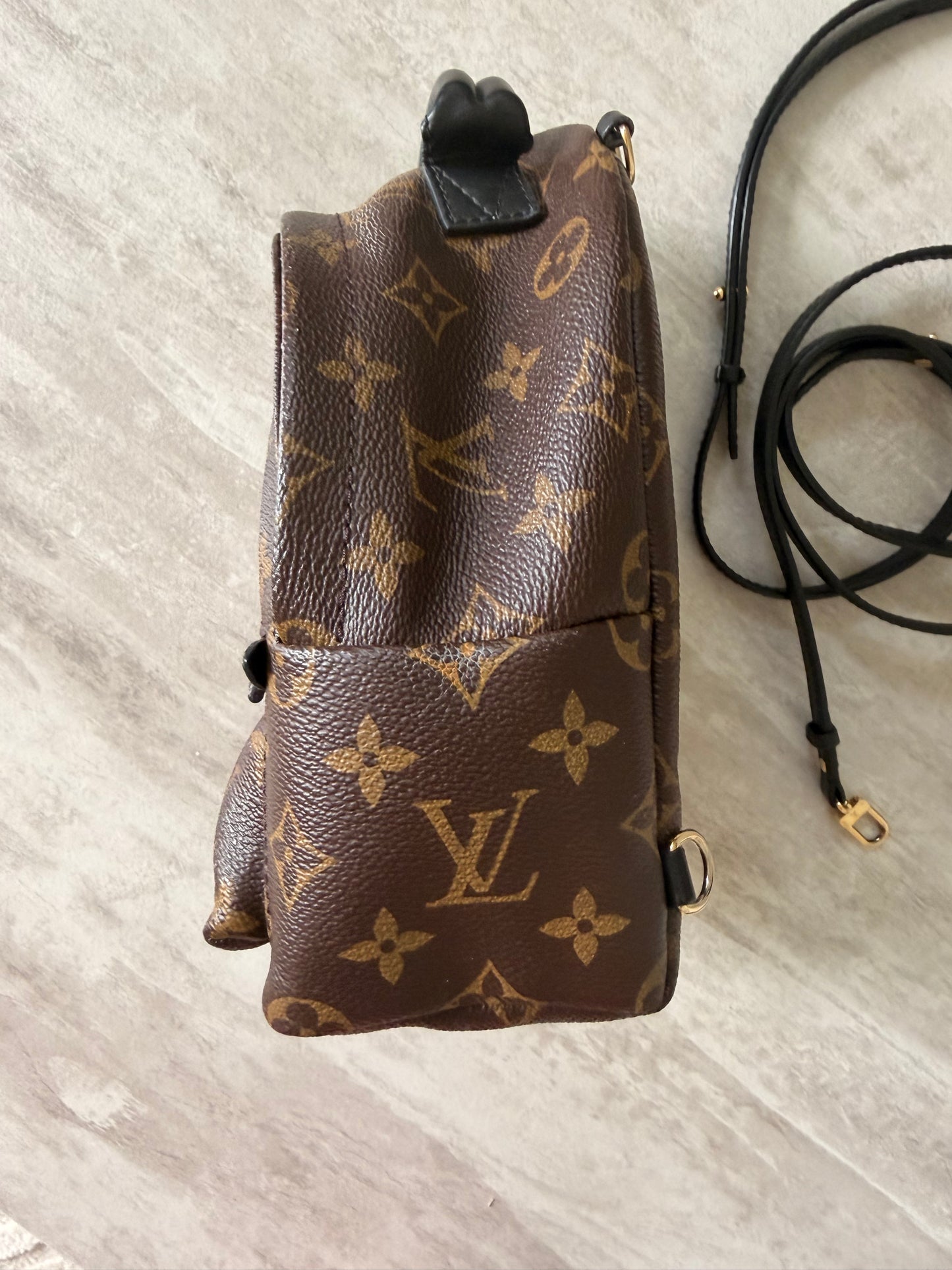 Louis Vuitton Palm Springs Mini Backpack