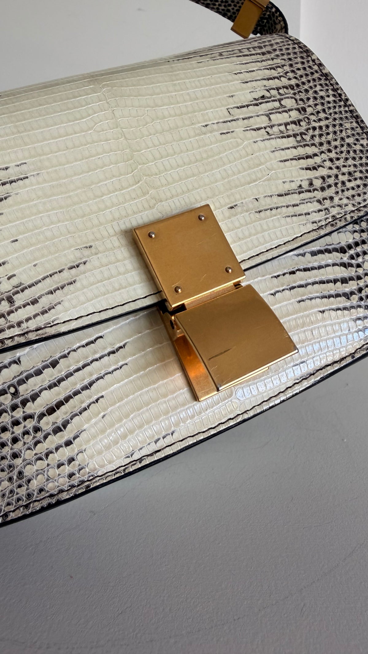 Celine Lizard Classic Box Bag Small