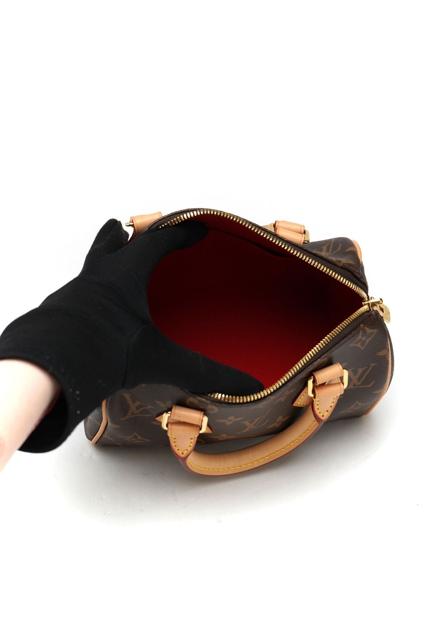 Louis Vuitton Speedy 20 Monogram