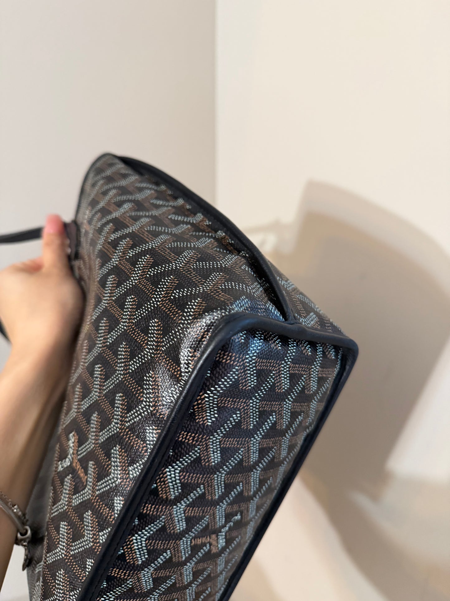 Goyard Mini Anjou Black