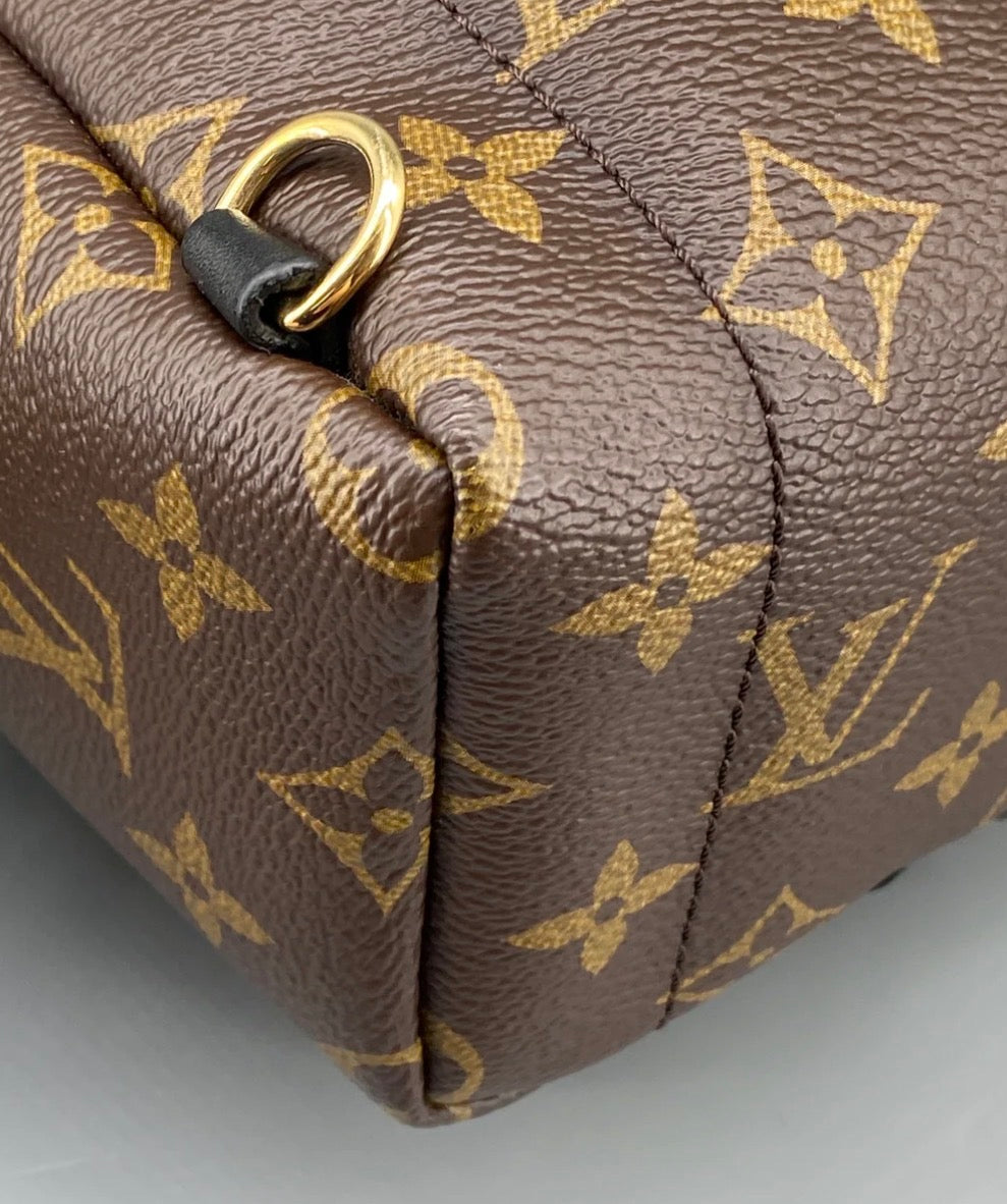 Louis Vuitton Palm Springs Backpack