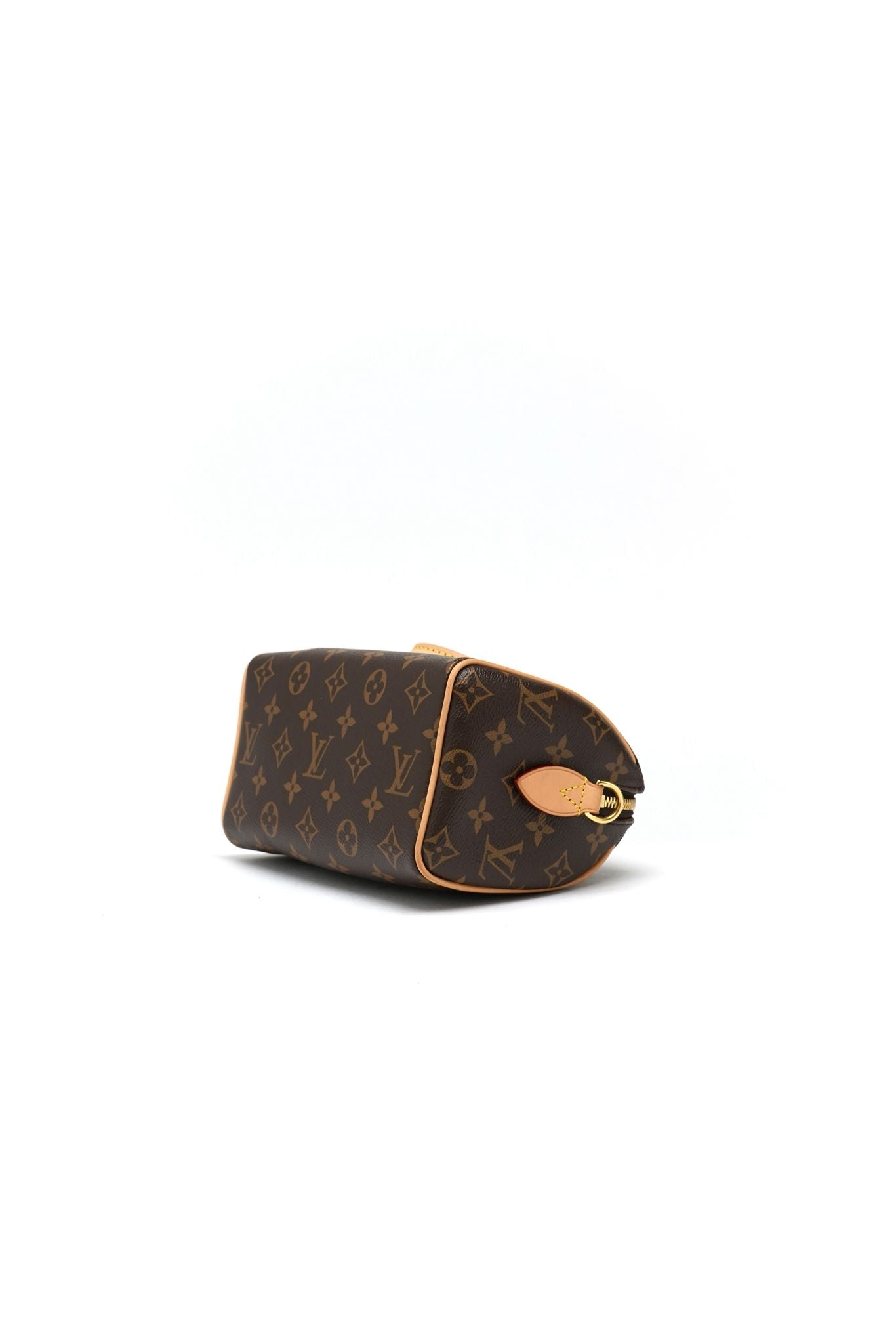 Louis Vuitton Speedy 20 Monogram