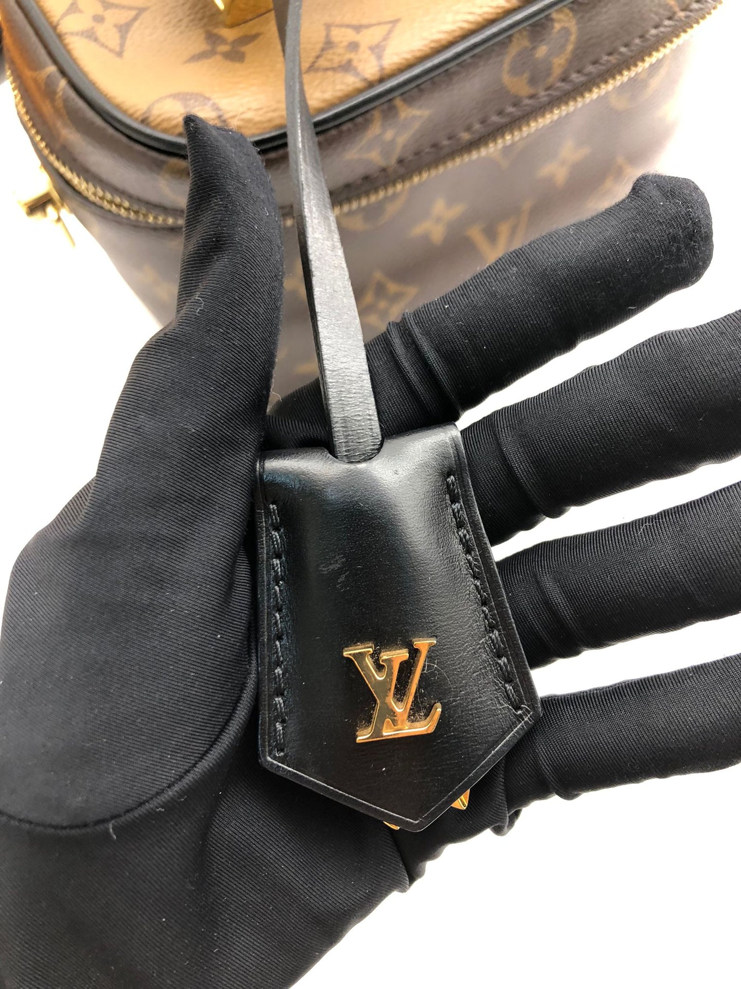 Louis Vuitton Vanity Bag