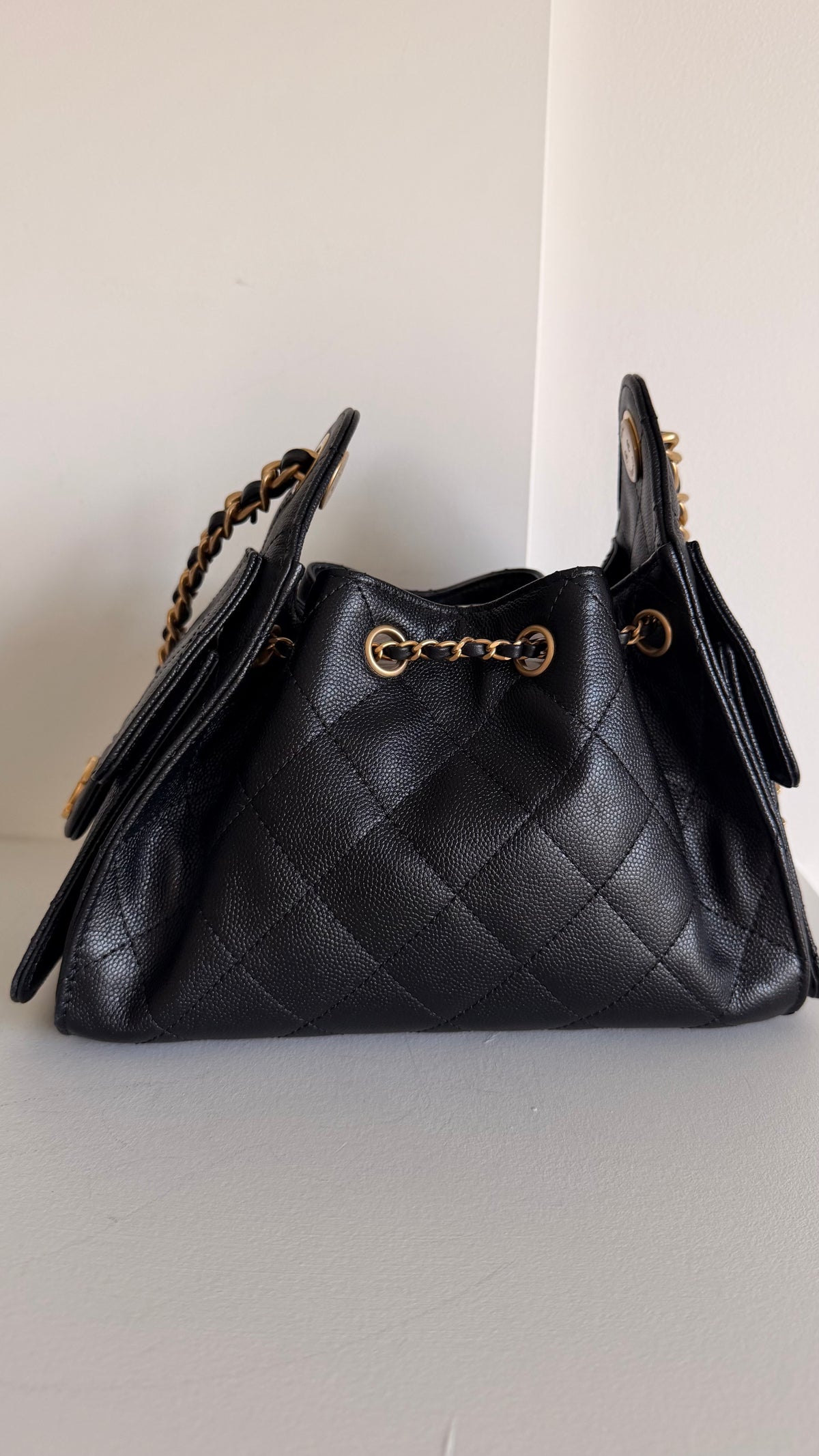 Chanel 25 Mini Hobo Bag