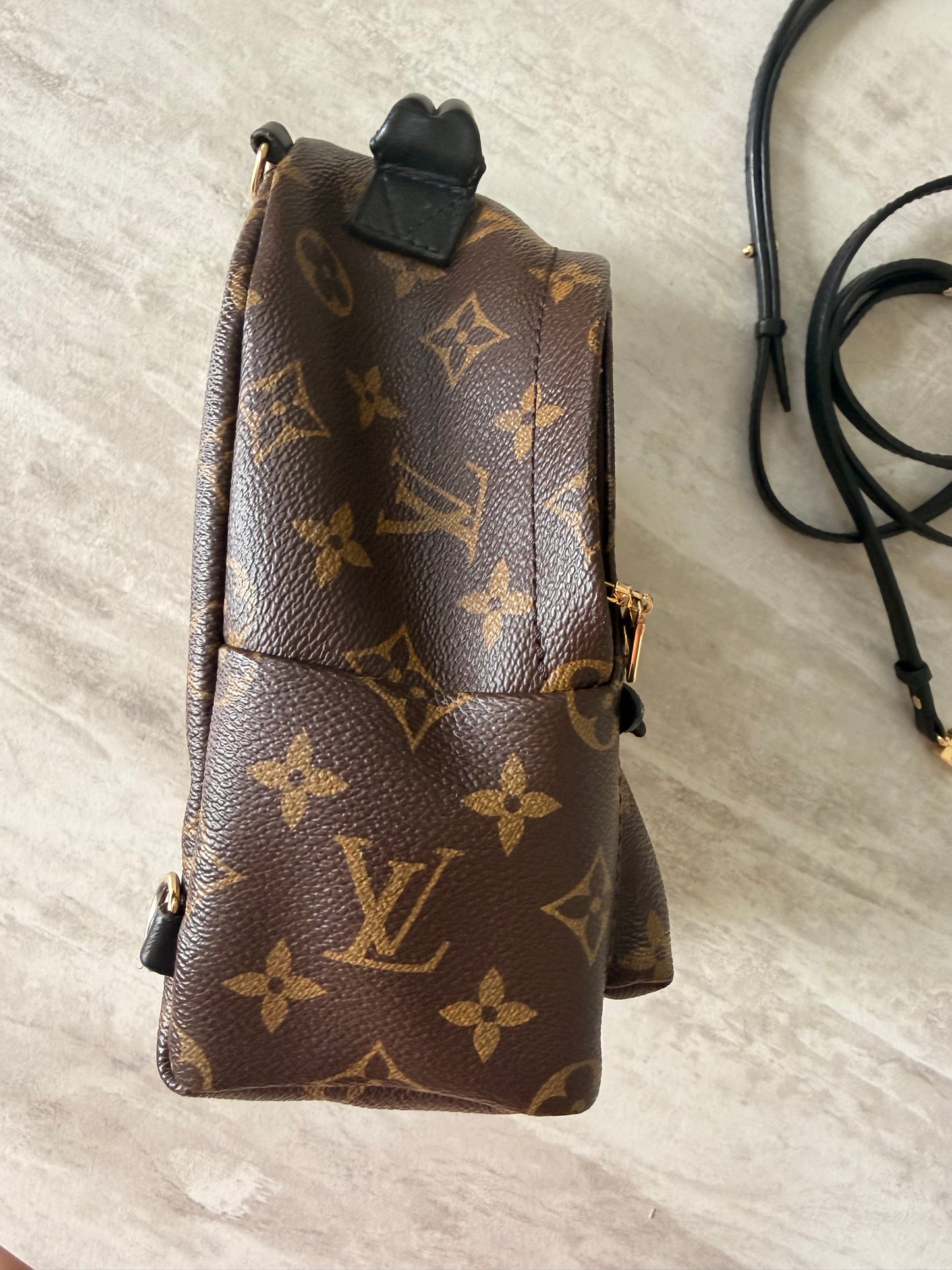 Louis Vuitton Palm Springs Mini Backpack
