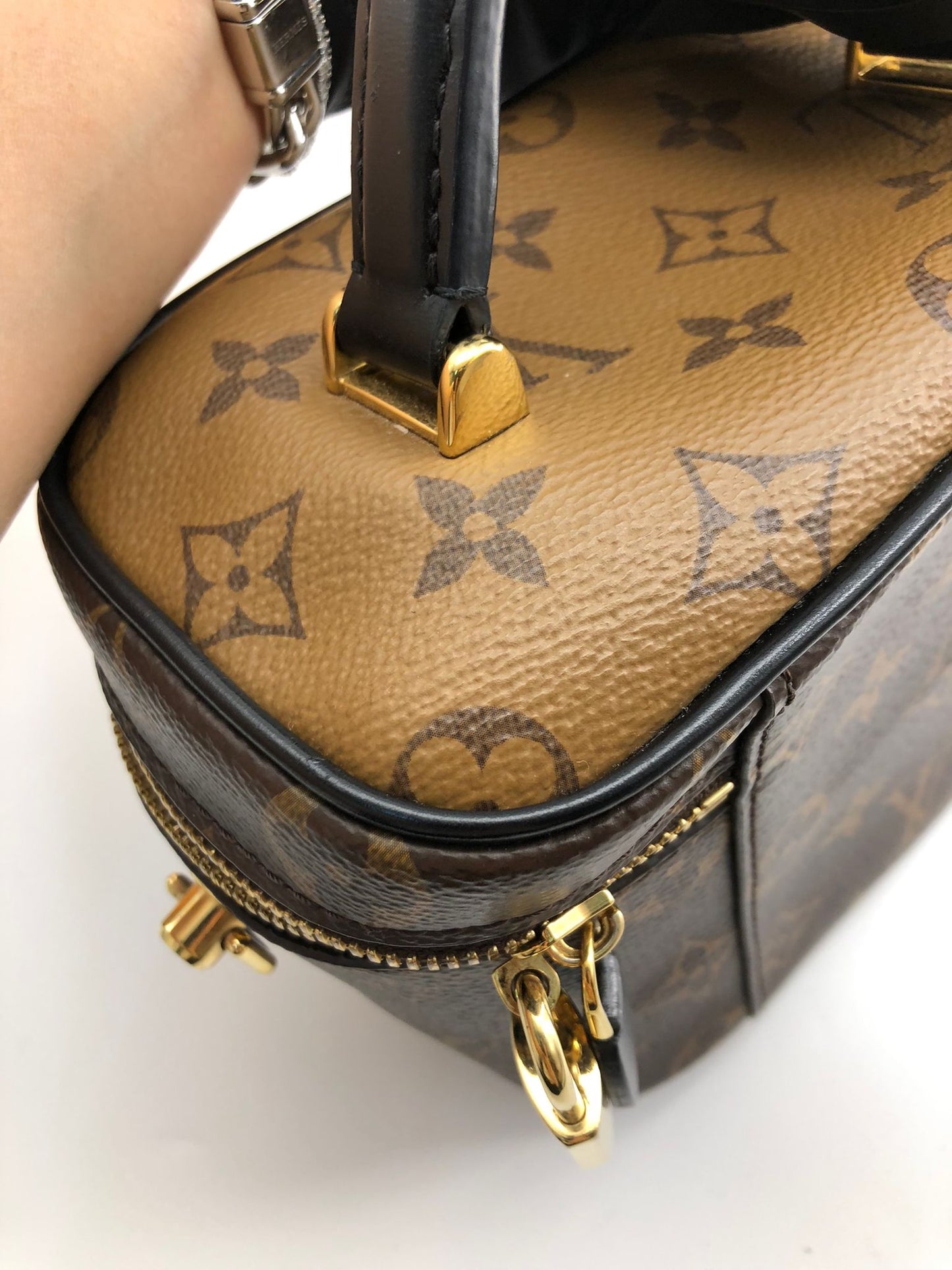 Louis Vuitton Vanity Bag