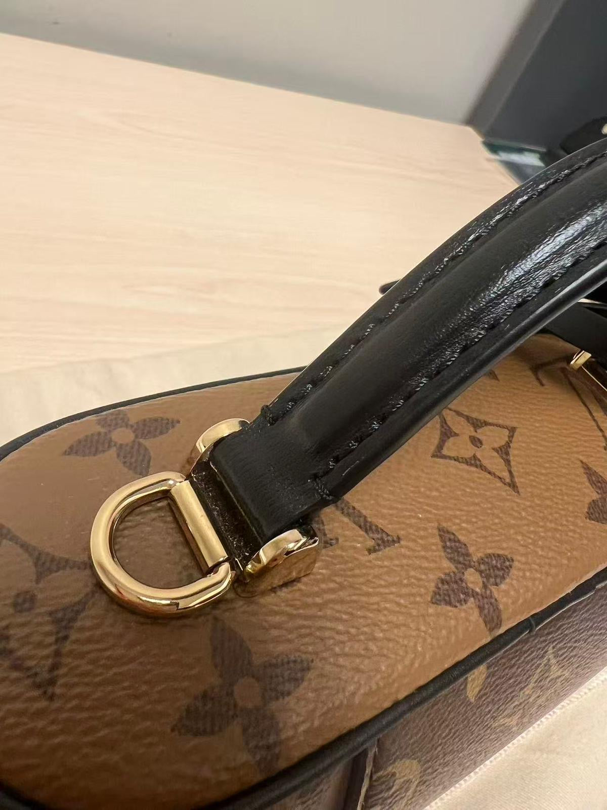 Louis Vuitton Vanity Chain Pouch Bag