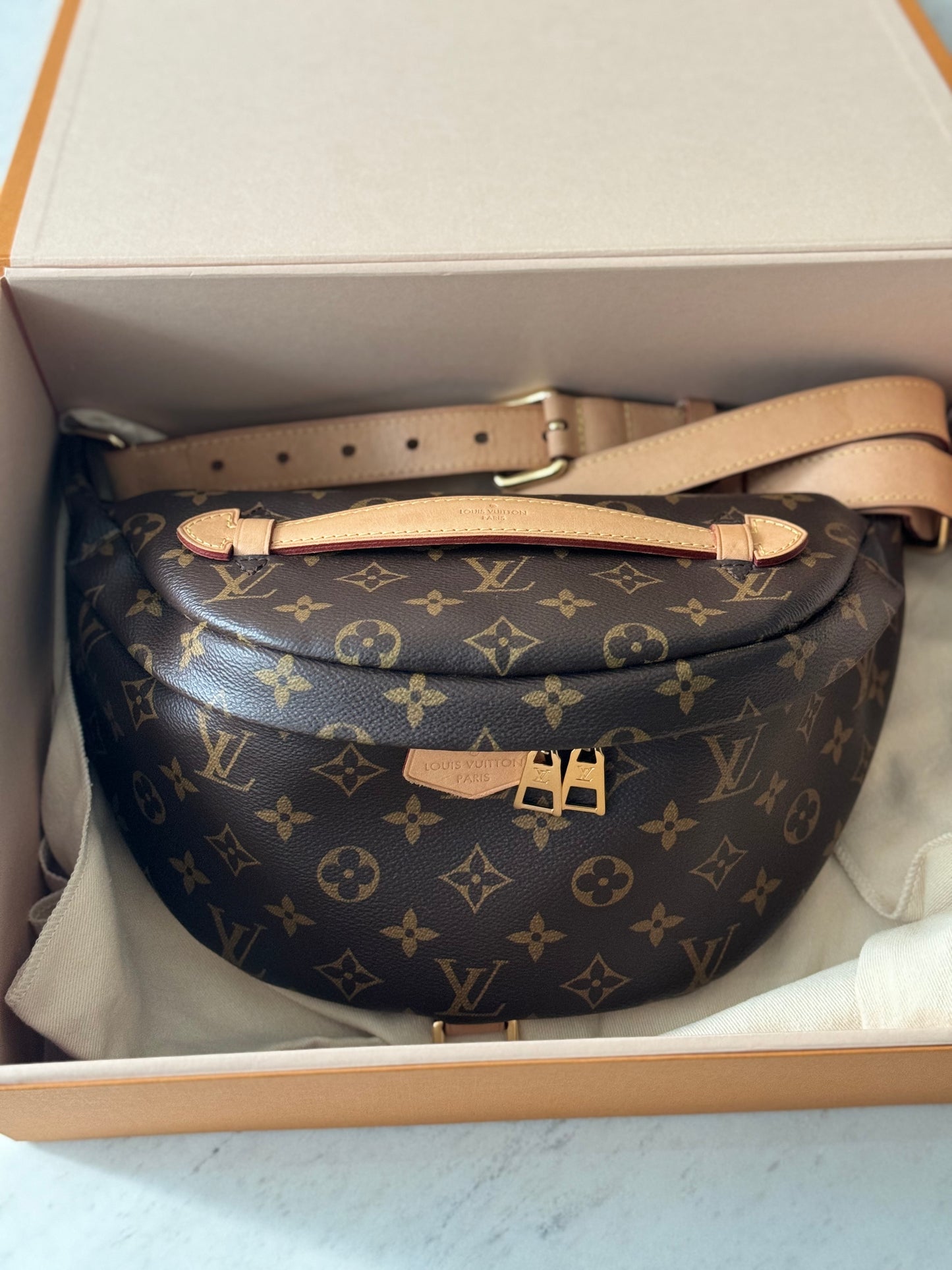 Louis vuitton bumbag