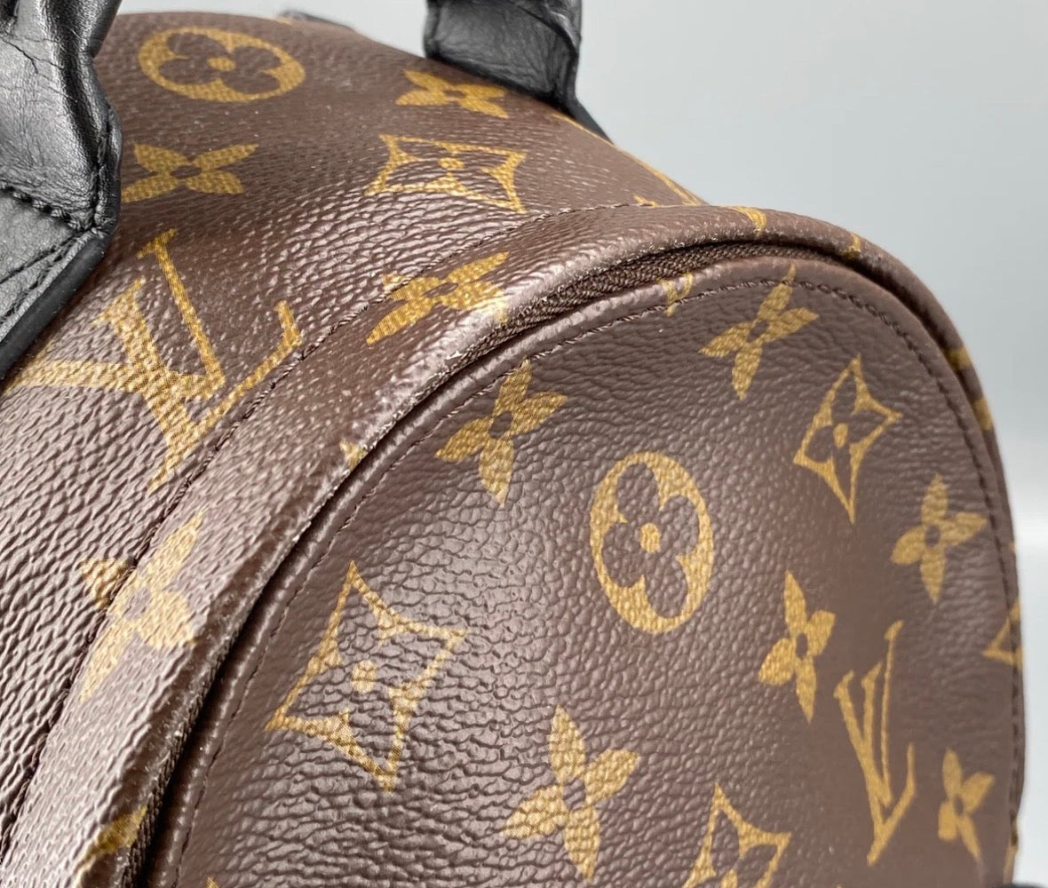 Louis Vuitton Palm Springs Backpack