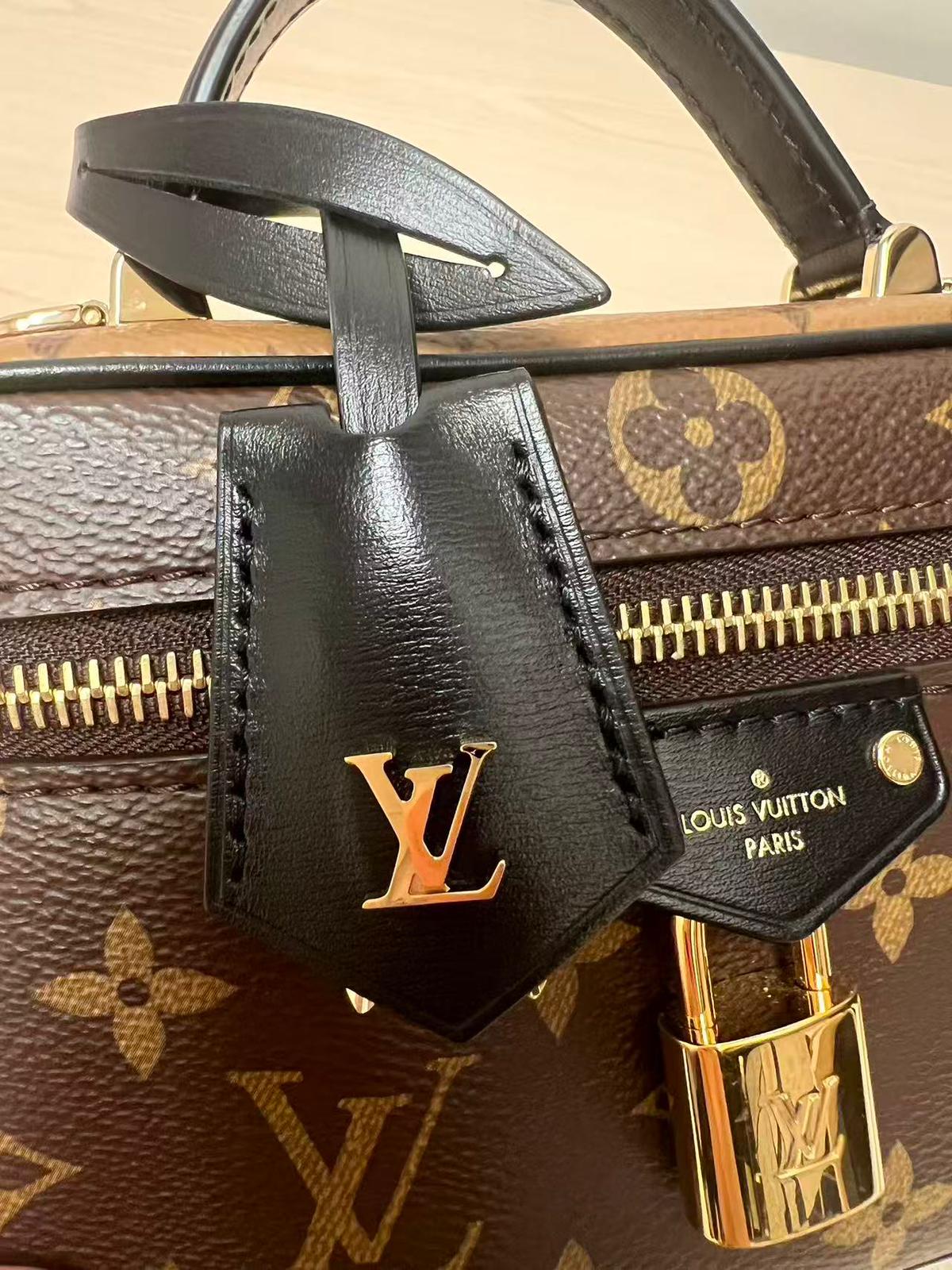 Louis Vuitton Vanity Chain Pouch Bag