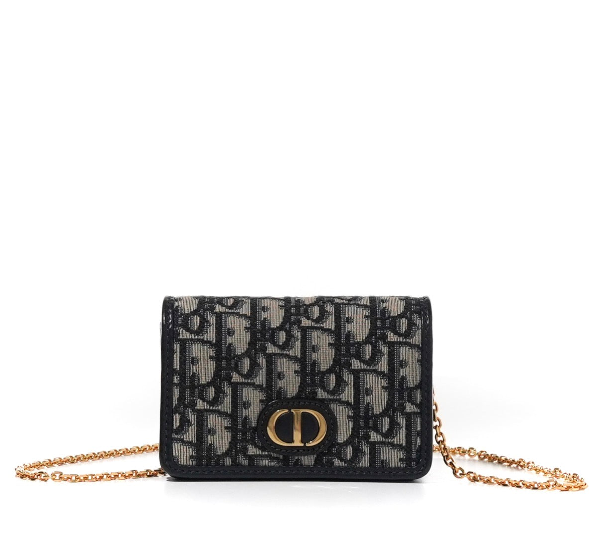 Christian Dior Montaigne Nano Pouch