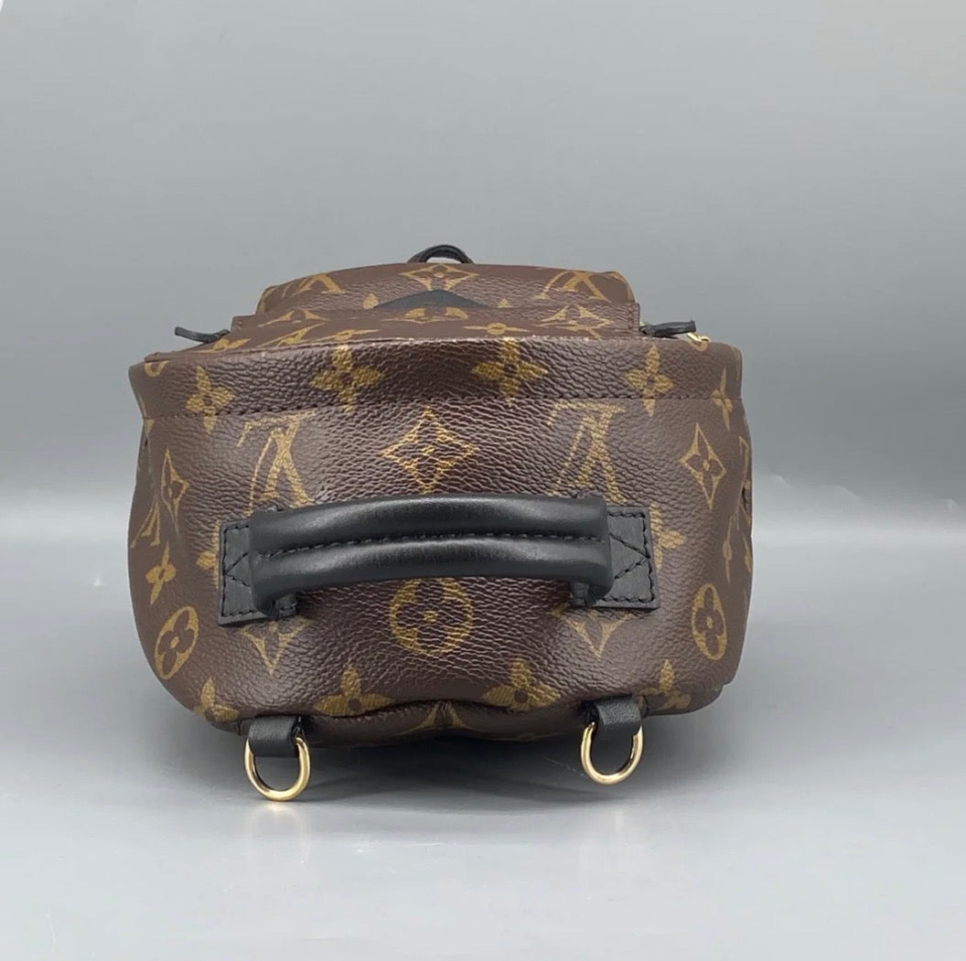 Louis Vuitton Palm Springs Backpack