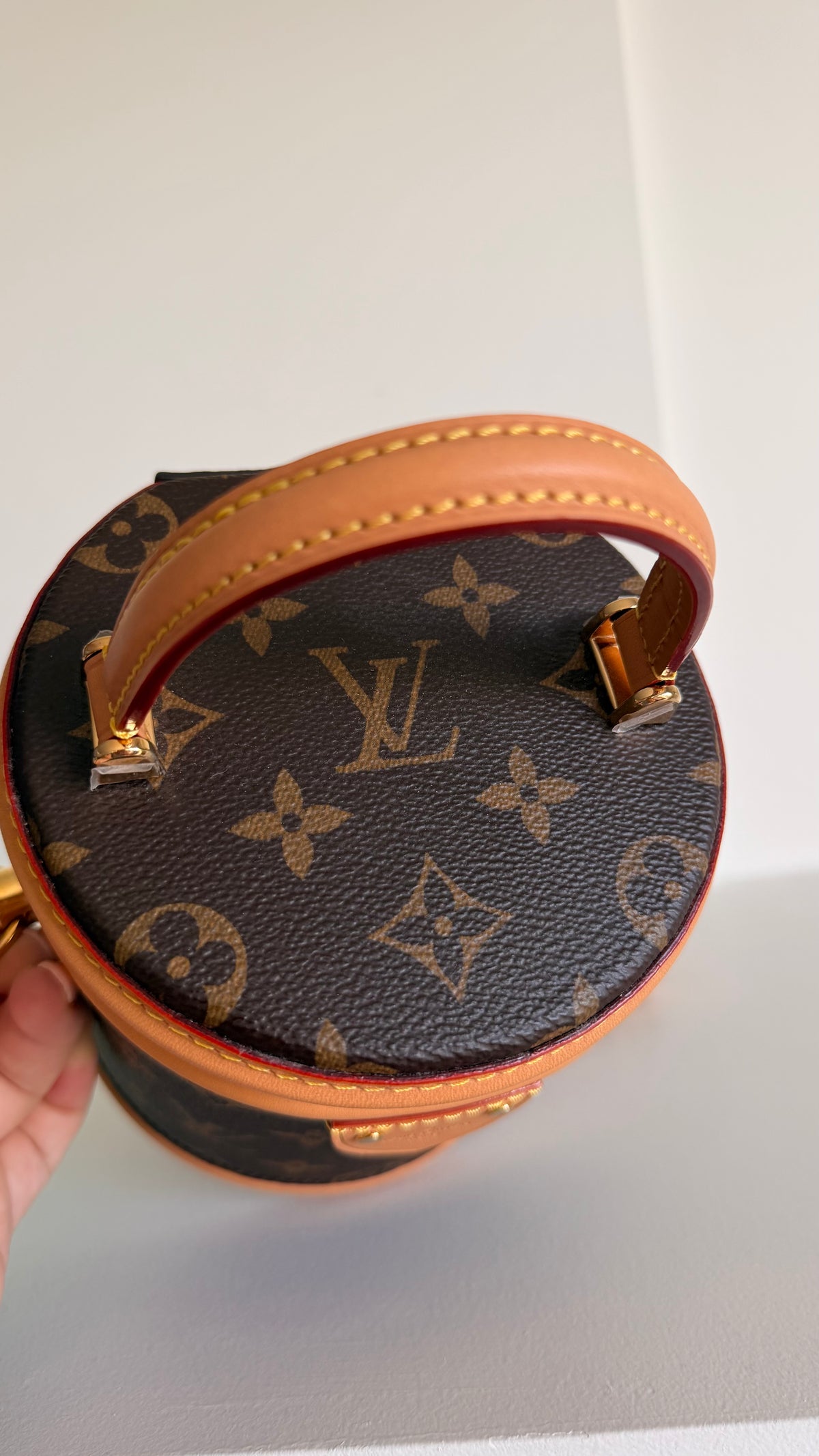Louis Vuitton Cannes Mini