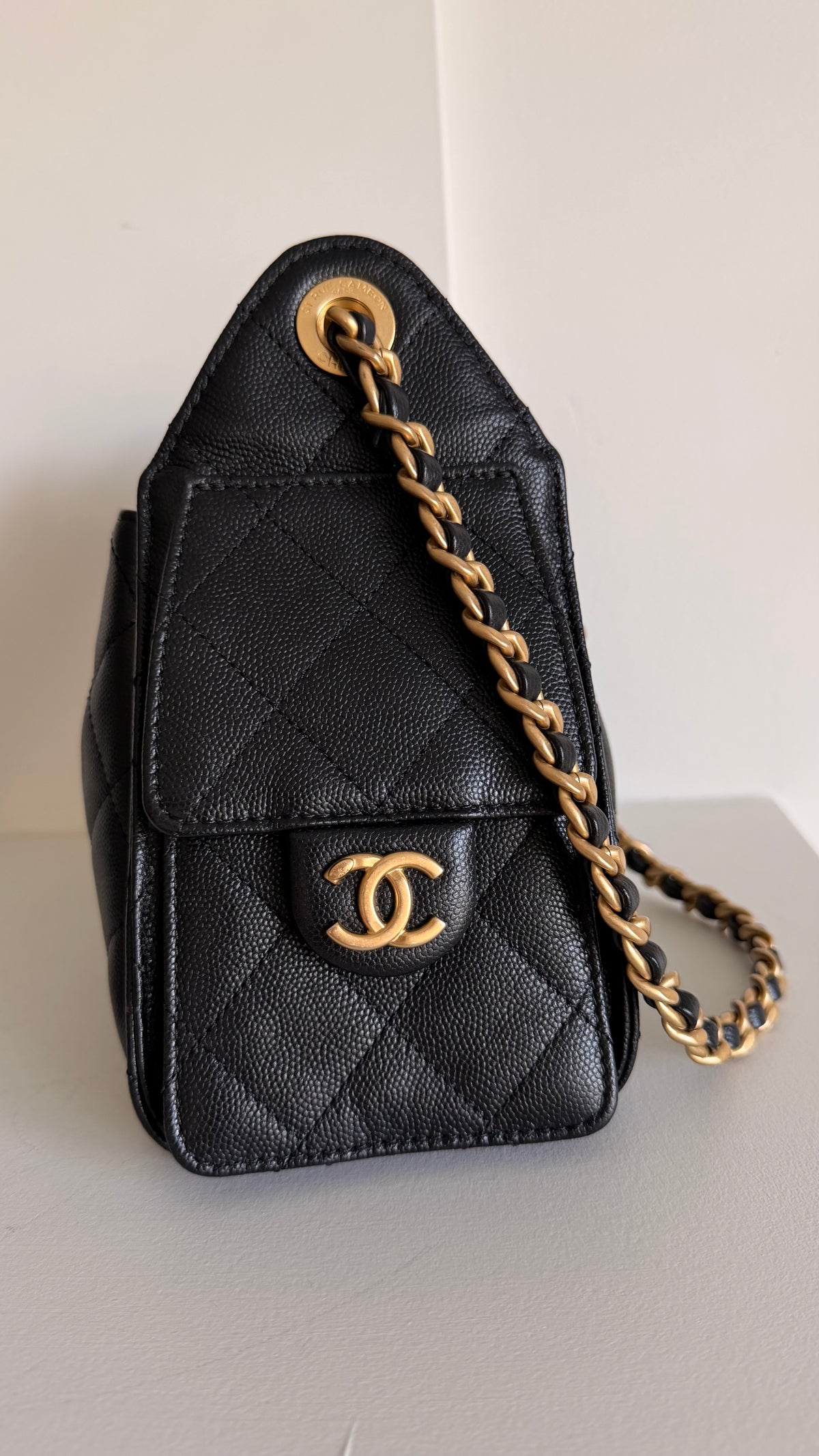 Chanel 25 Mini Hobo Bag