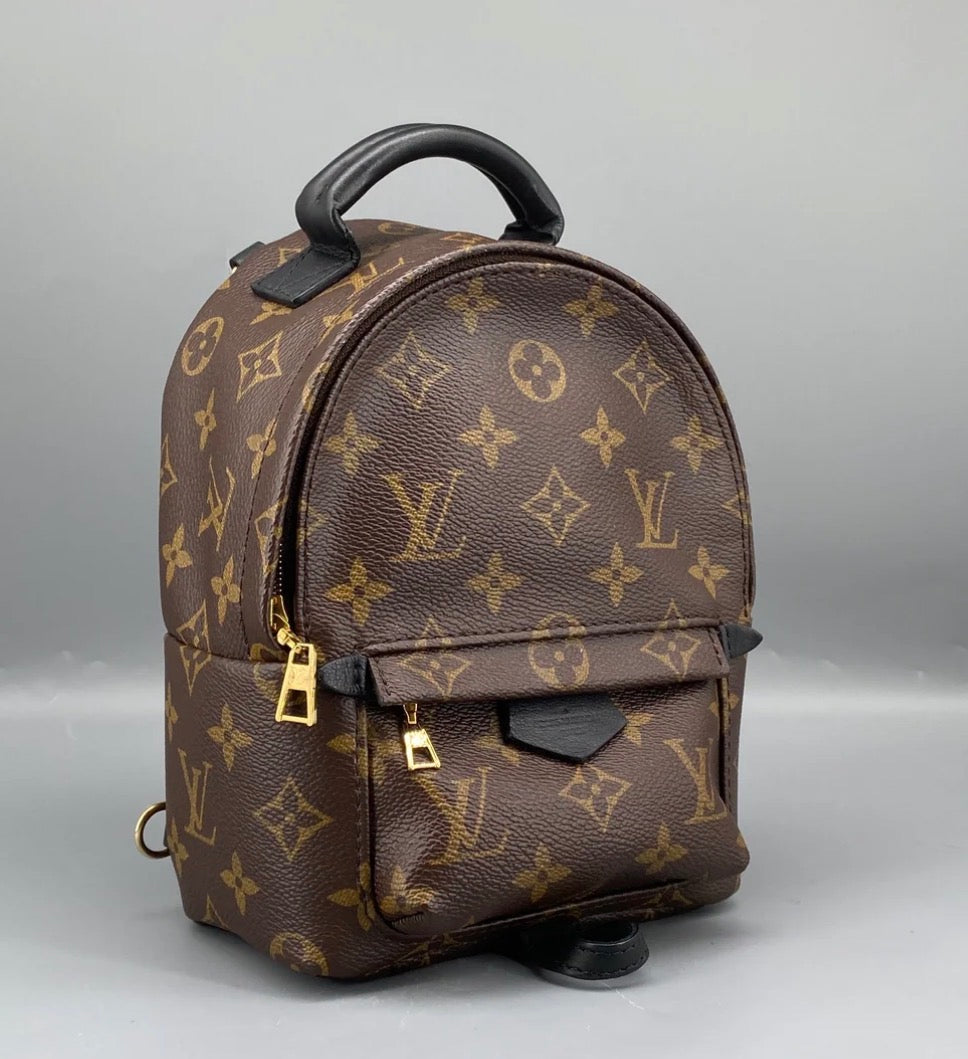 Louis Vuitton Palm Springs Backpack