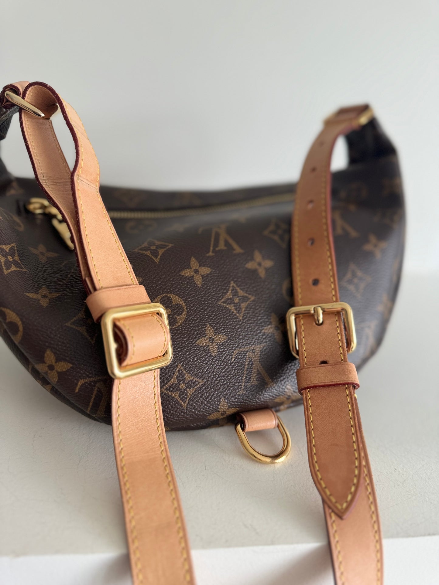 Louis vuitton bumbag