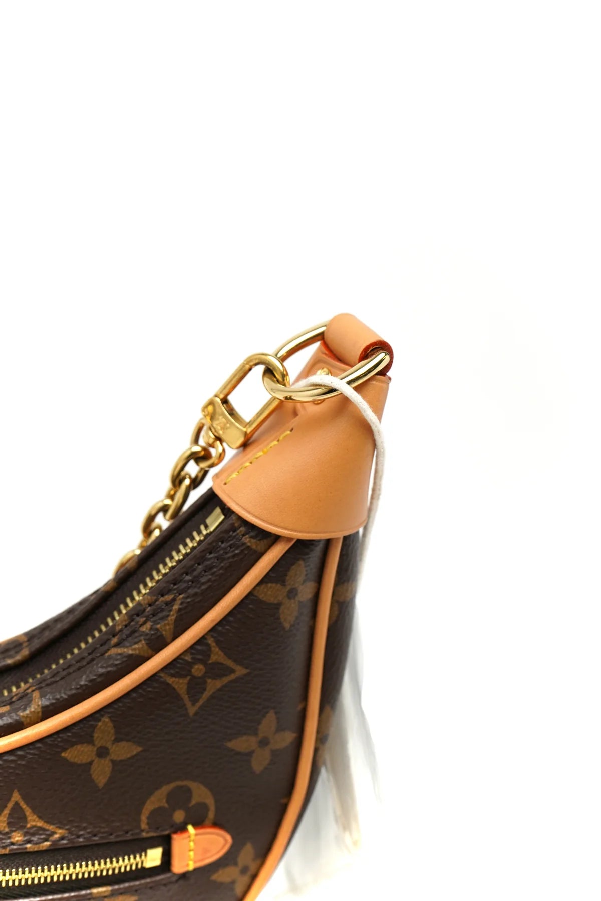 Louis Vuitton Monogram Loop Bag