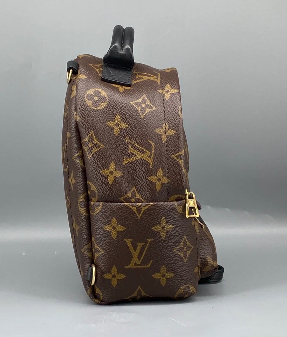 Louis Vuitton Palm Springs Backpack