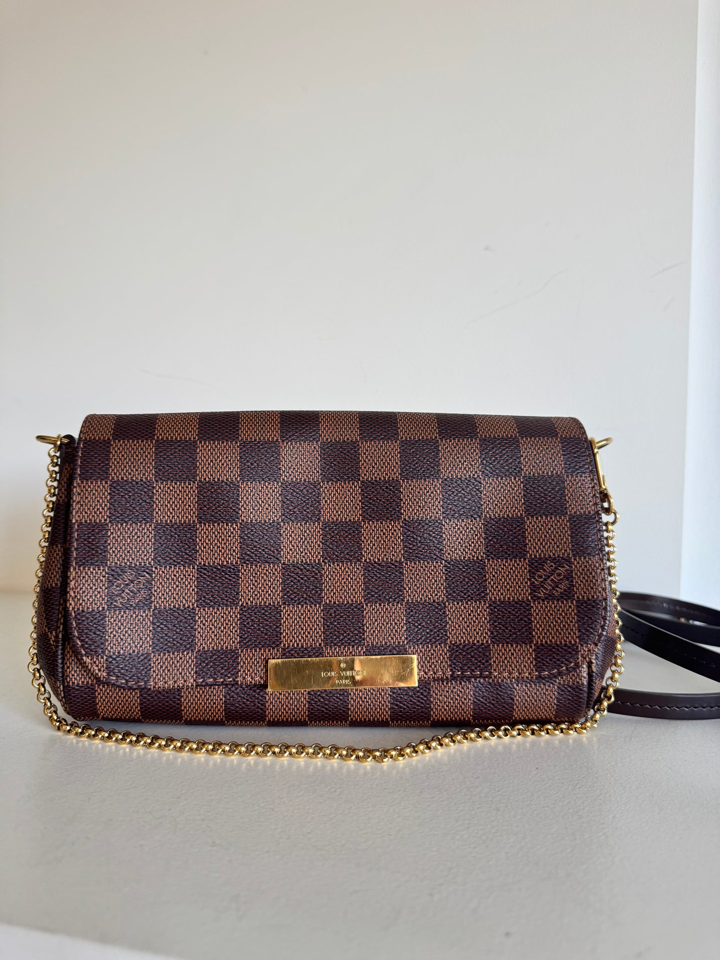 Louis Vuitton Favourite PM Damier Ebene Bag