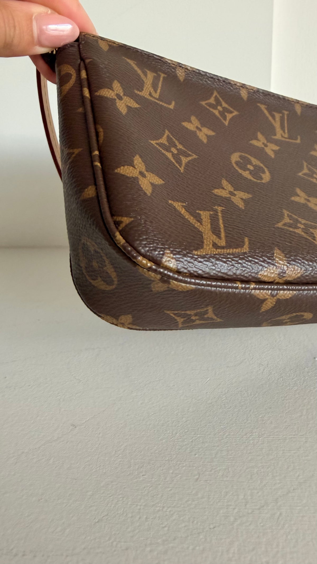 Louis Vuitton Monogram Pochette
