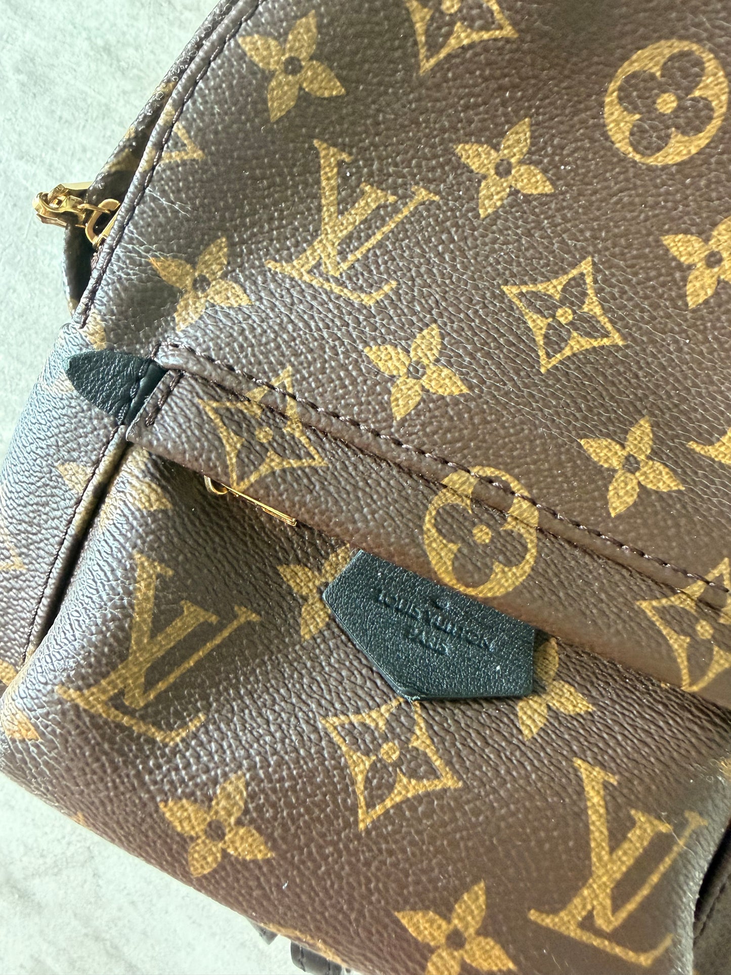 Louis Vuitton Palm Springs Mini Backpack