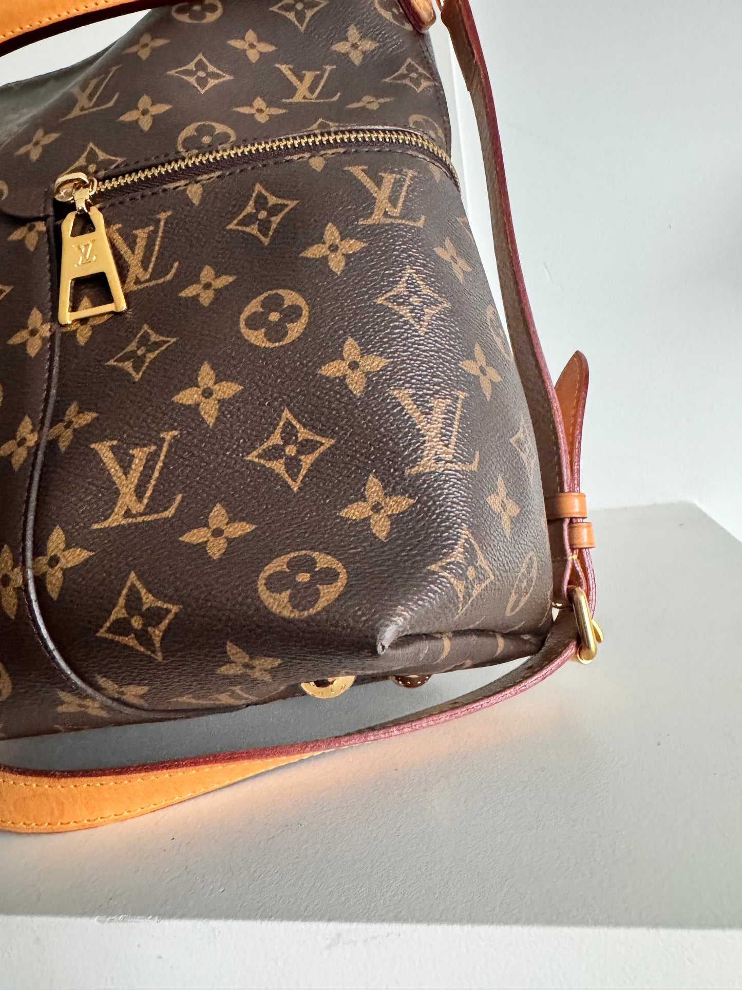 Louis Vuitton Melie Monogram Bag