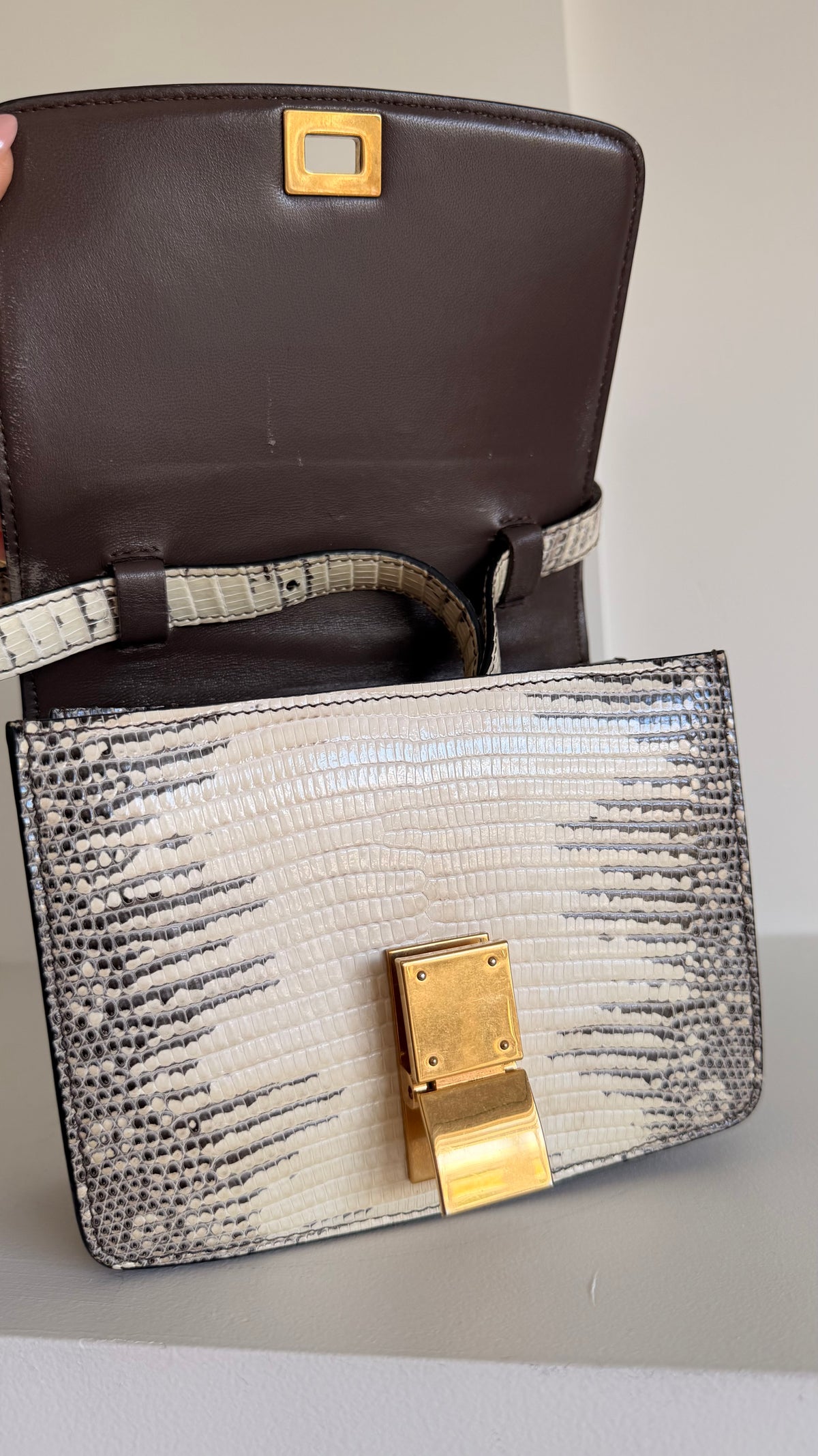 Celine Lizard Classic Box Bag Small