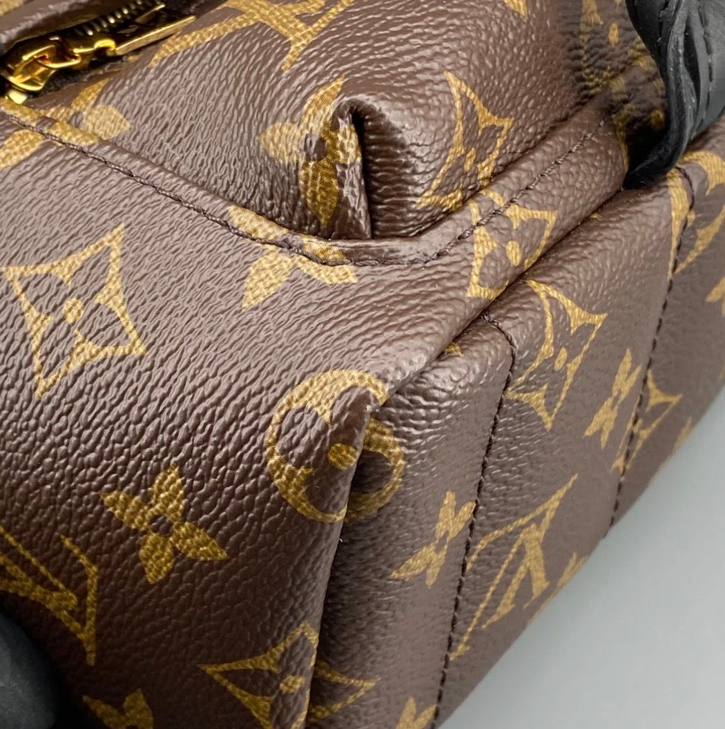 Louis Vuitton Palm Springs Backpack