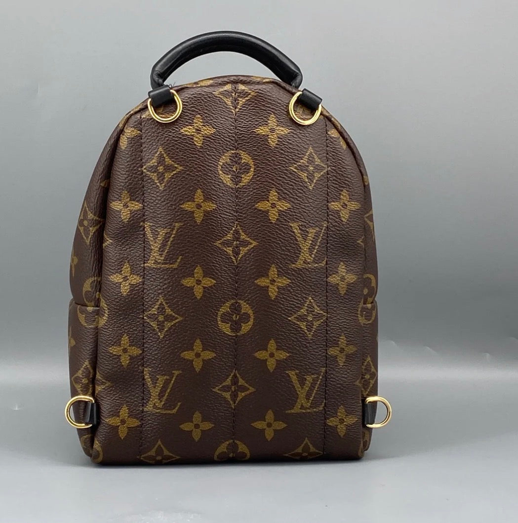 Louis Vuitton Palm Springs Backpack