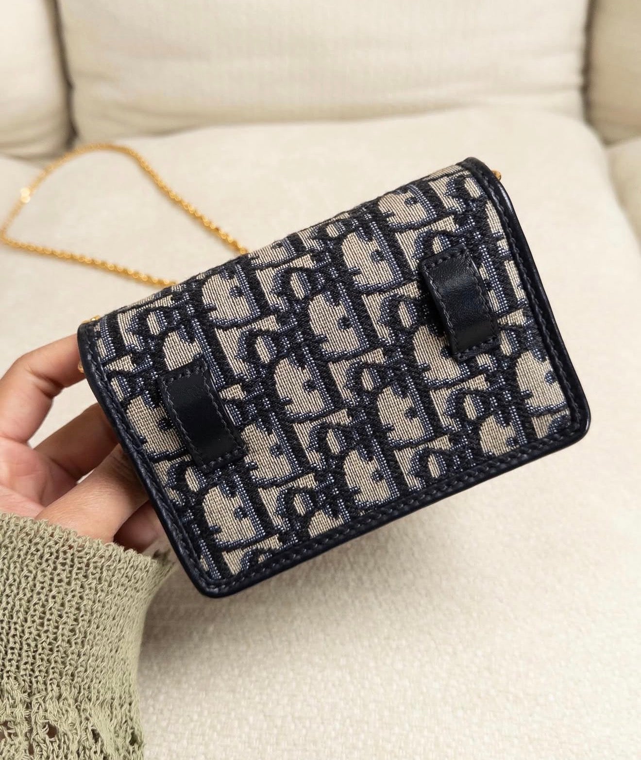 Christian Dior Montaigne Nano Pouch