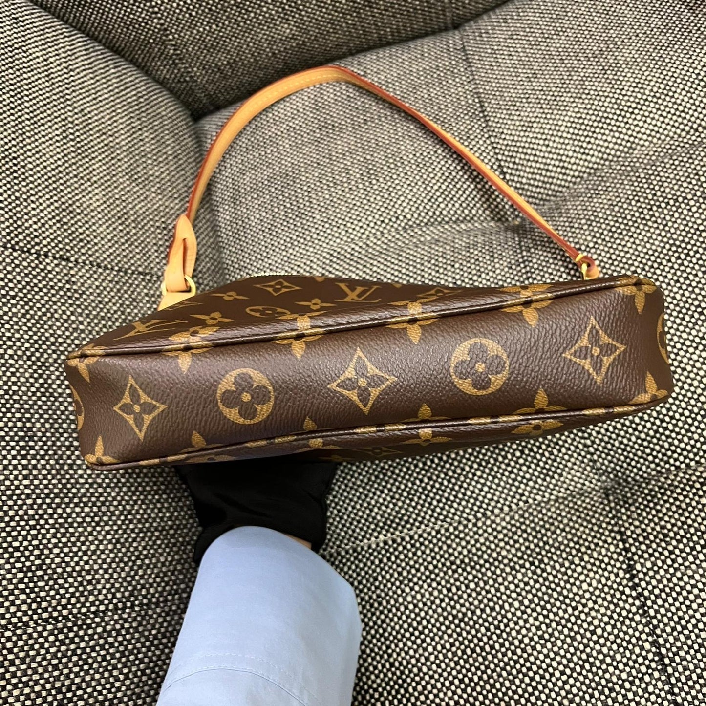 Louis Vuitton Pochette Accessories Bag