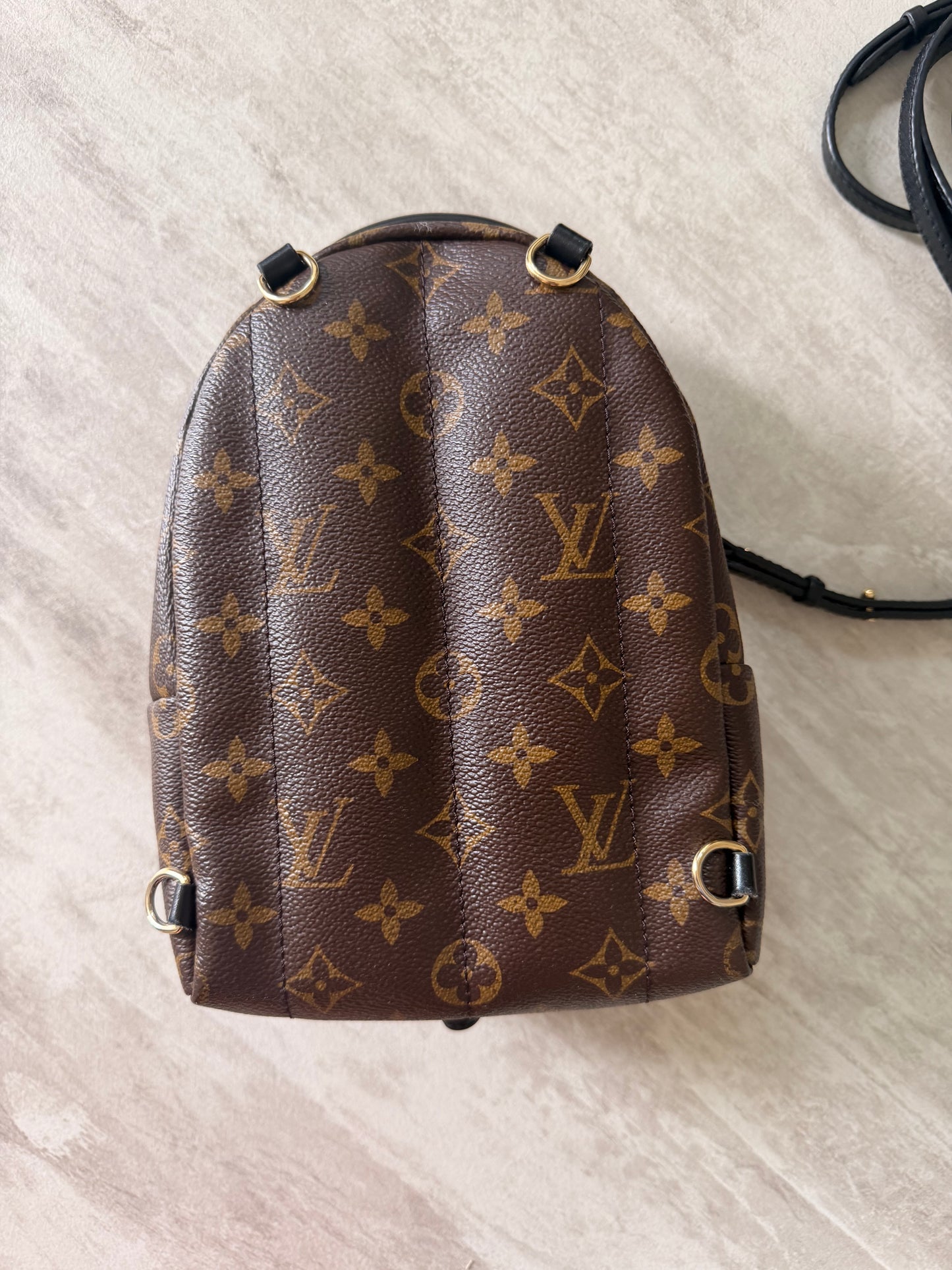 Louis Vuitton Palm Springs Mini Backpack