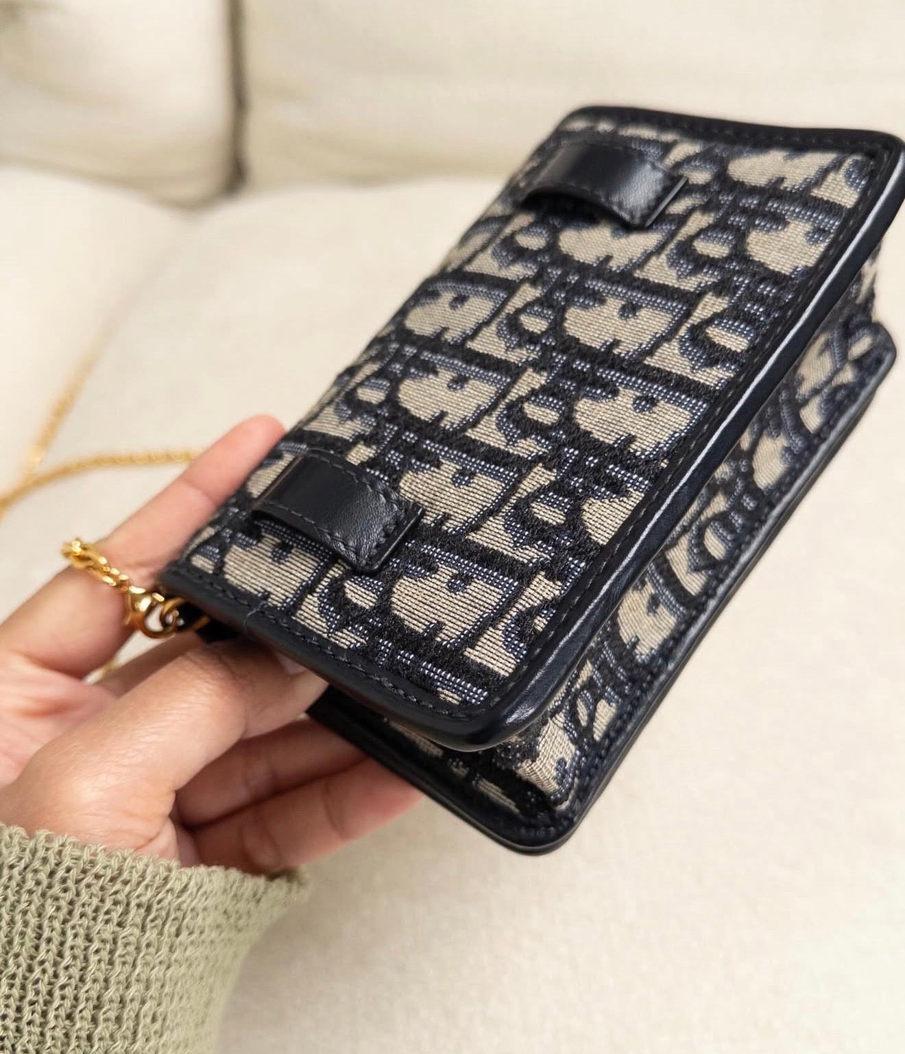 Christian Dior Montaigne Nano Pouch