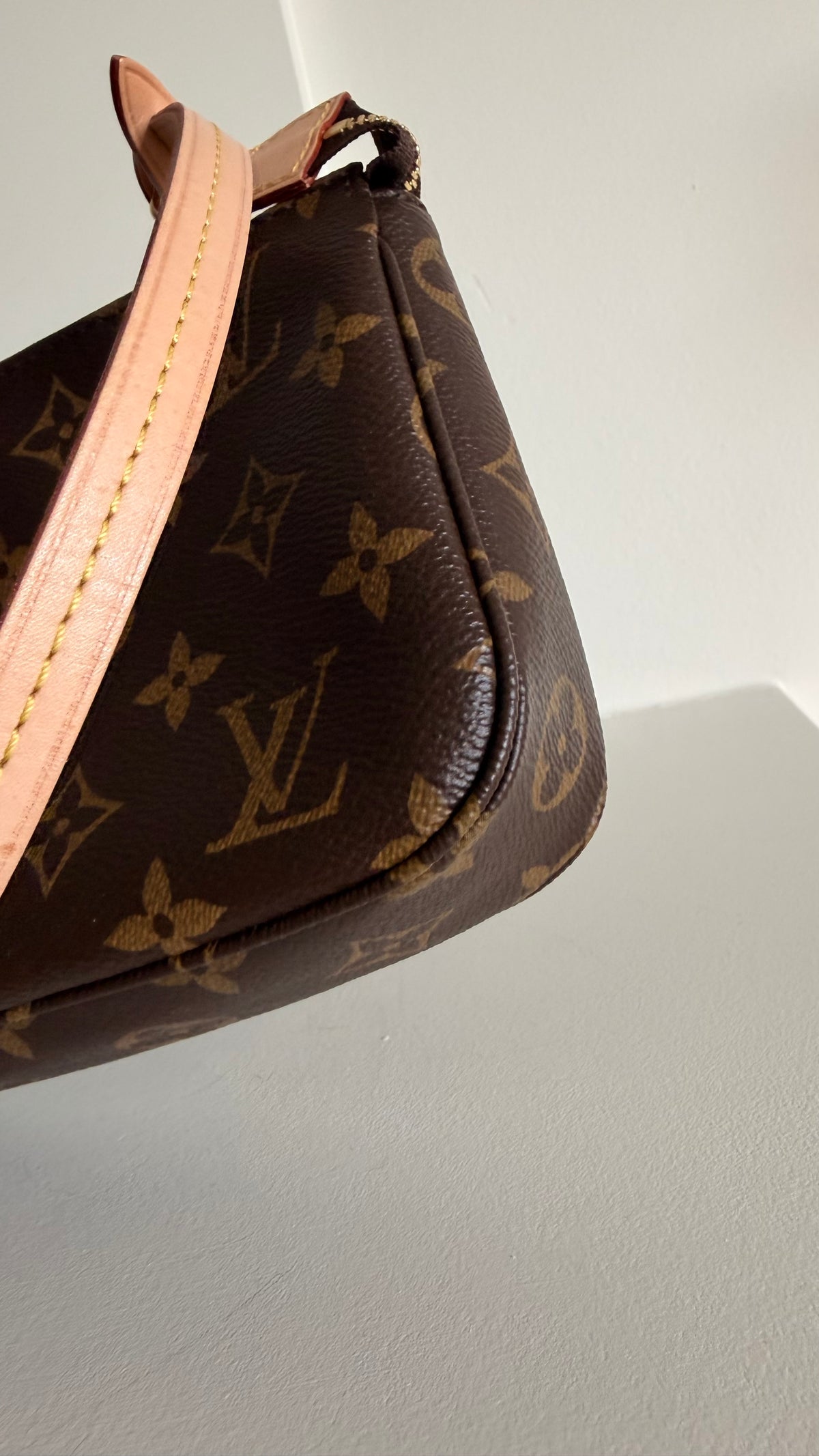 Louis Vuitton Monogram Pochette
