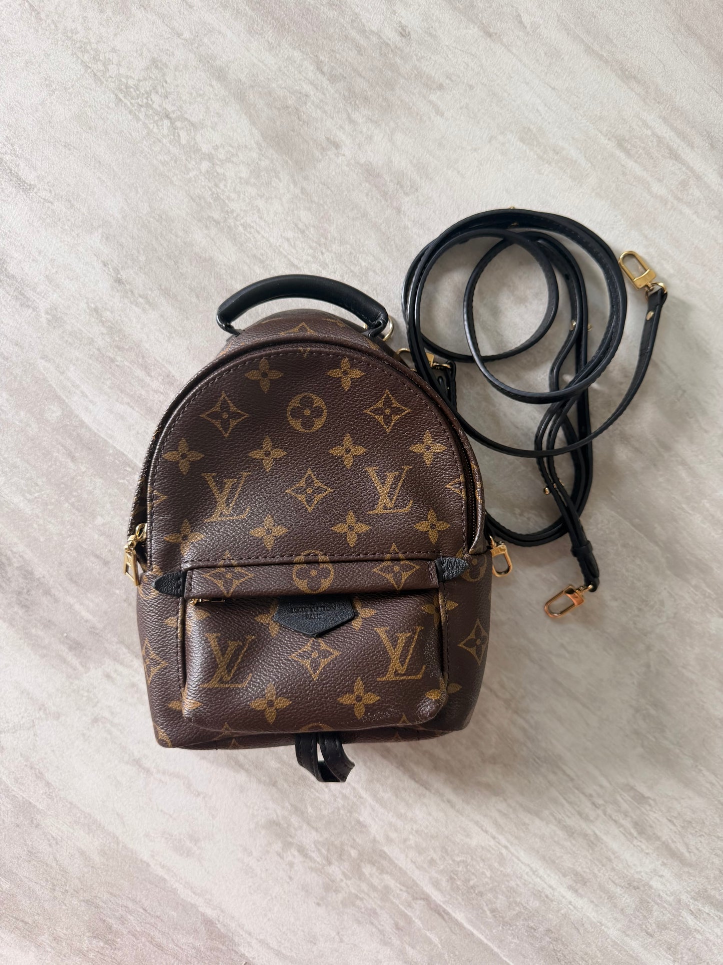 Louis Vuitton Palm Springs Mini Backpack