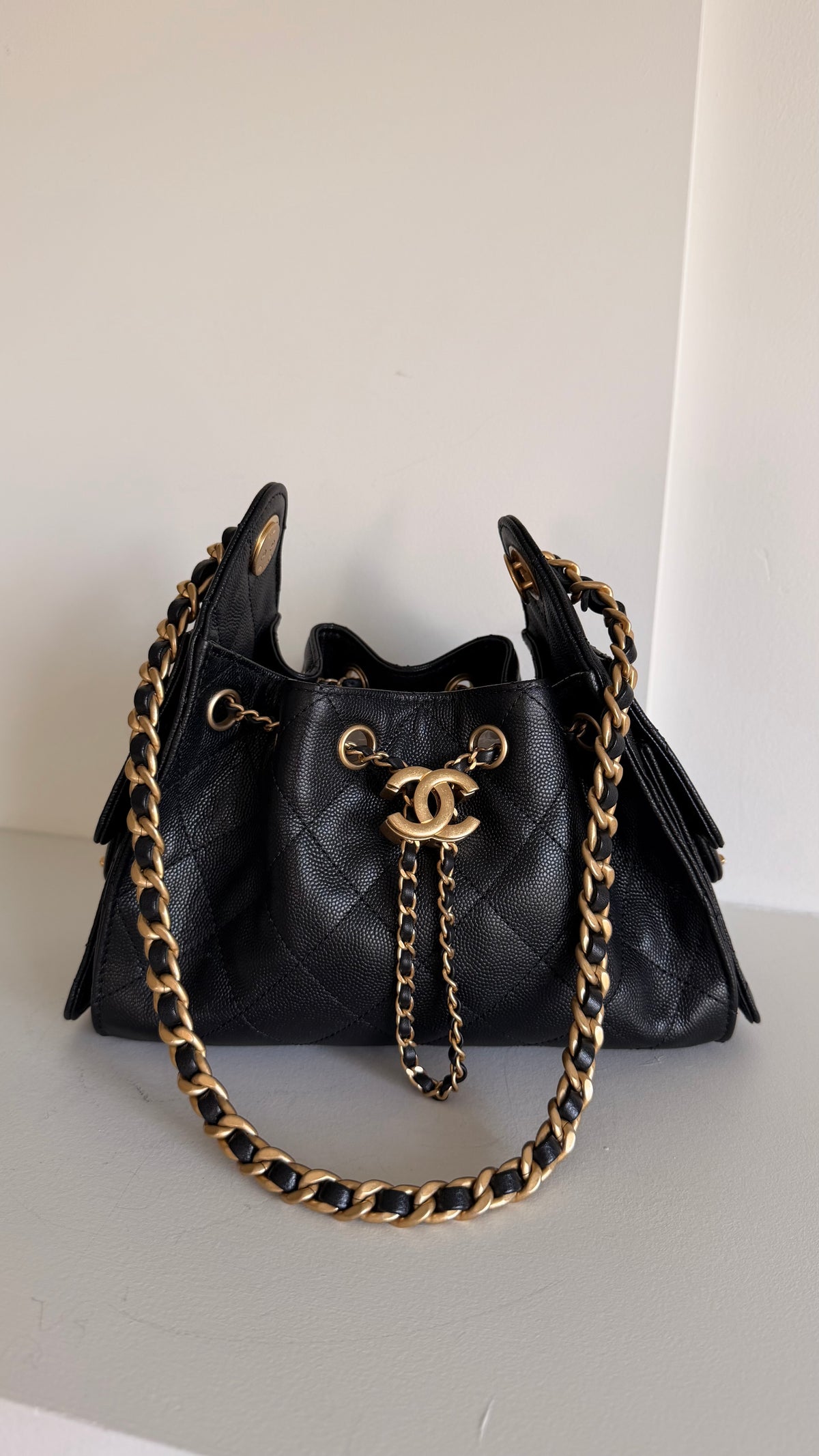 Chanel 25 Mini Hobo Bag