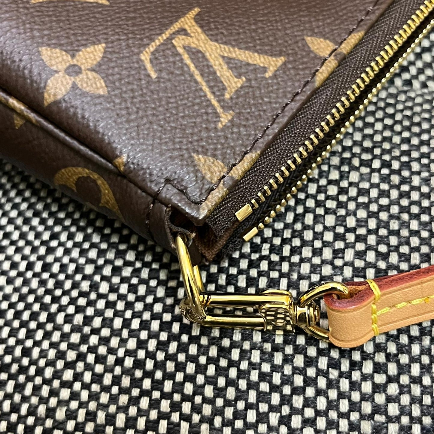 Louis Vuitton Pochette Accessories Bag