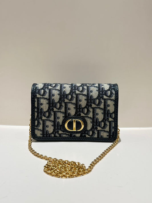 Christian Dior Montaigne Nano Pouch